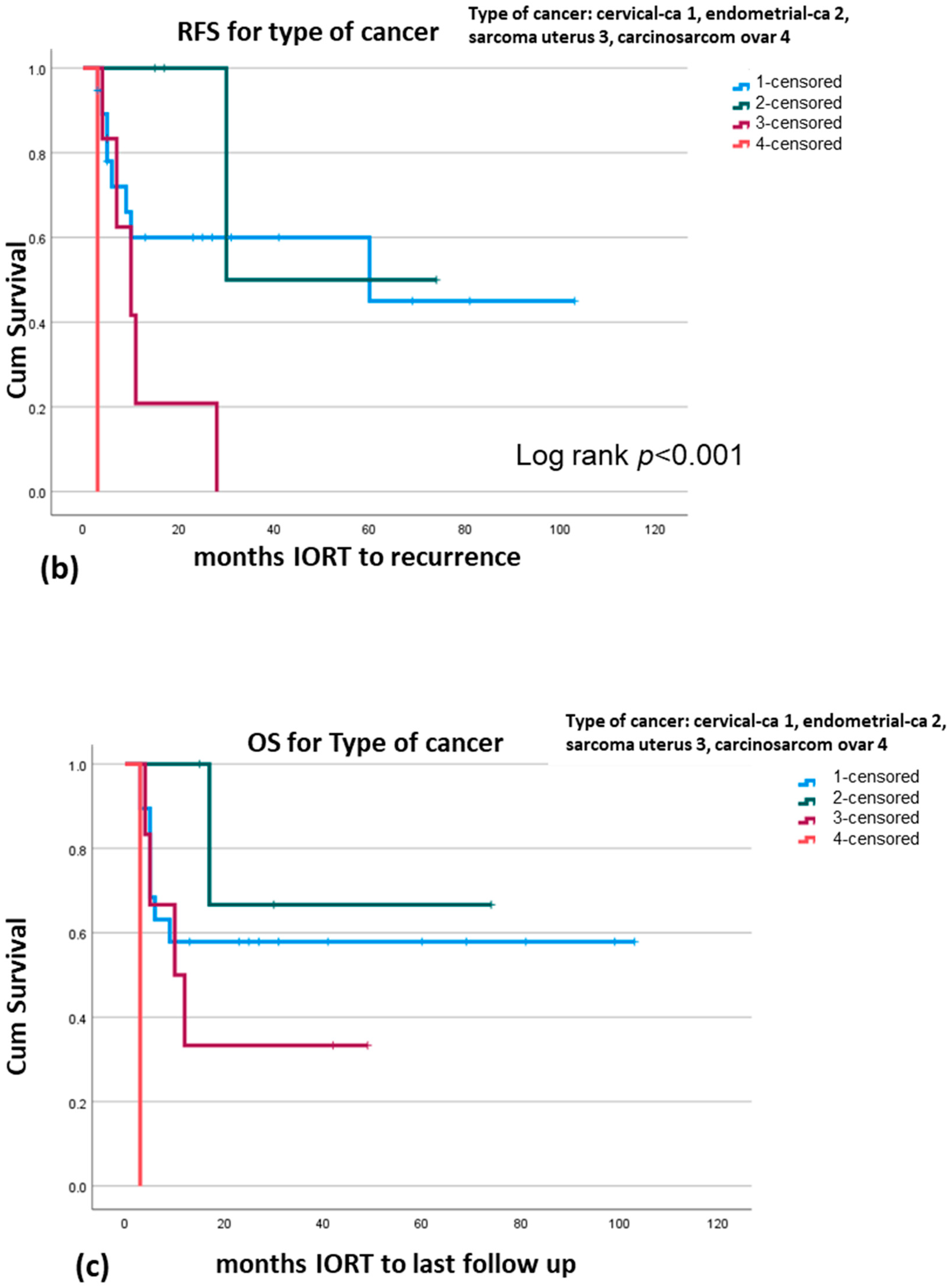 Cancers 17 01240 g003b