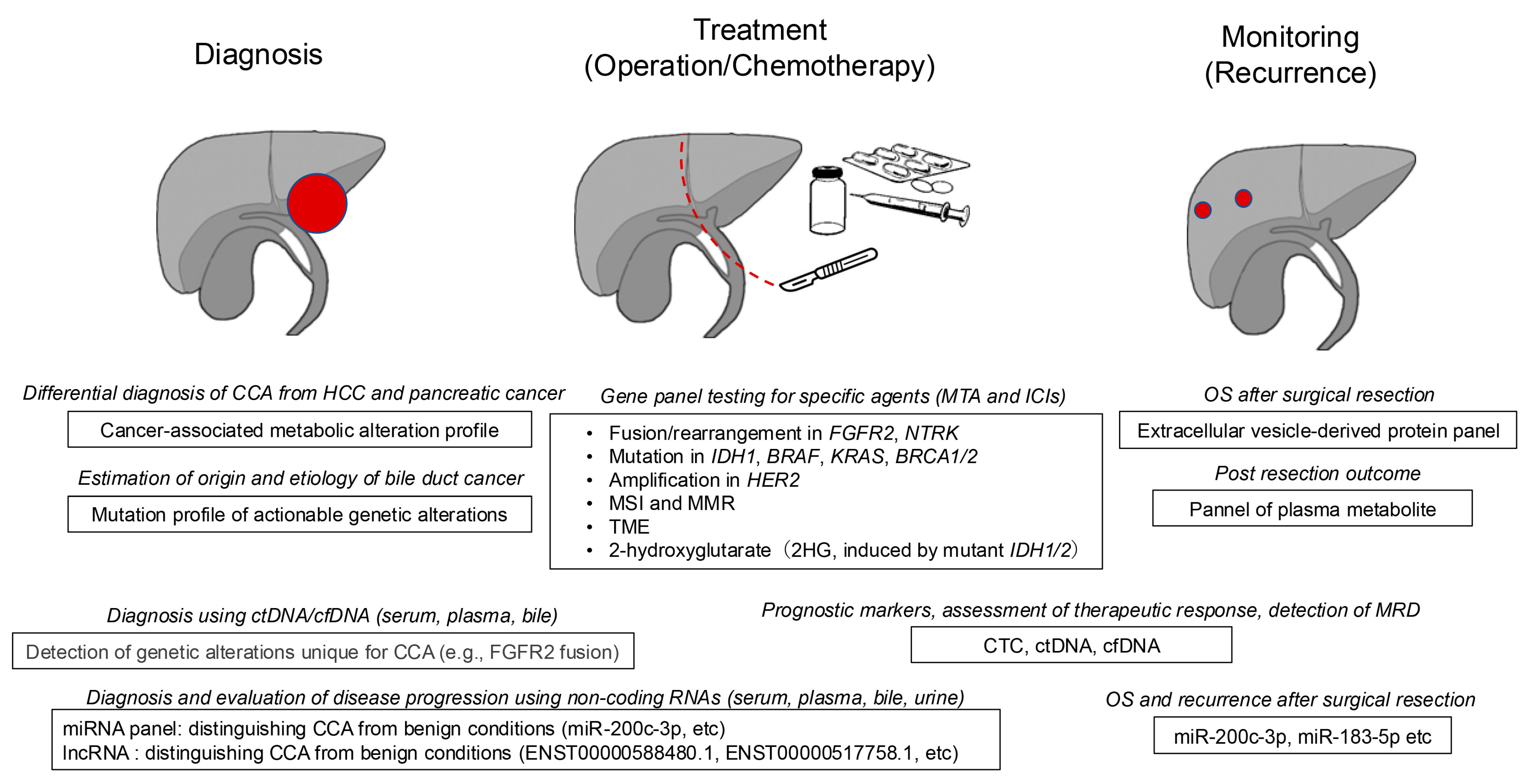 Cancers 17 01243 g001