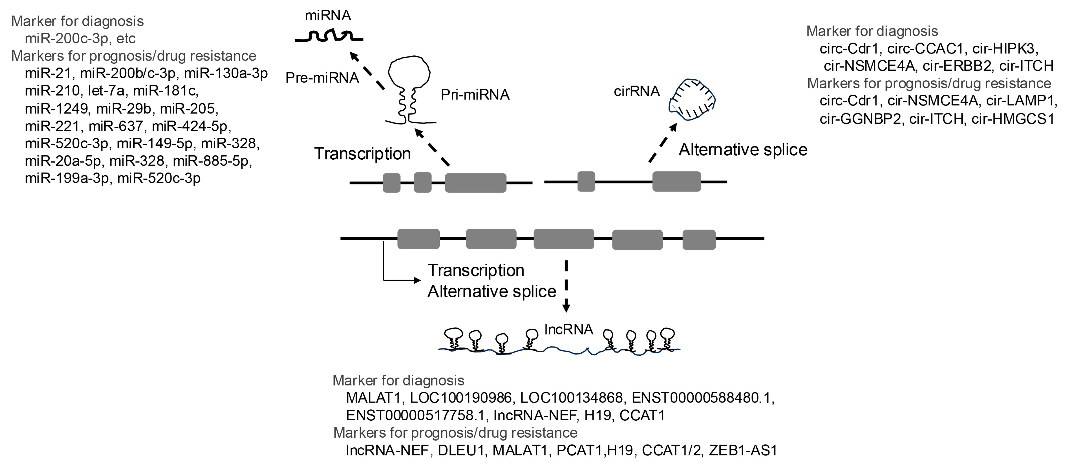Cancers 17 01243 g002