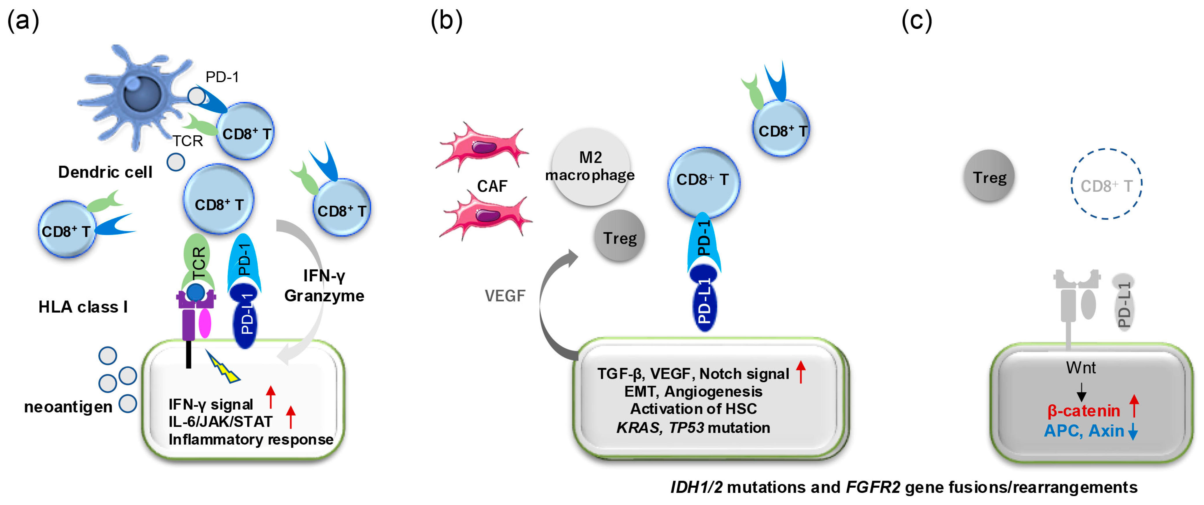 Cancers 17 01243 g003