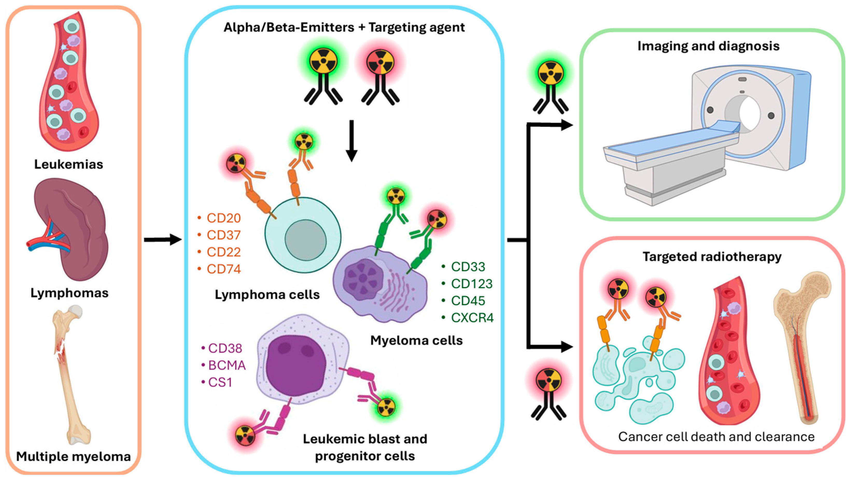 Cancers 17 01247 g001 Cancers 17 01247 g001