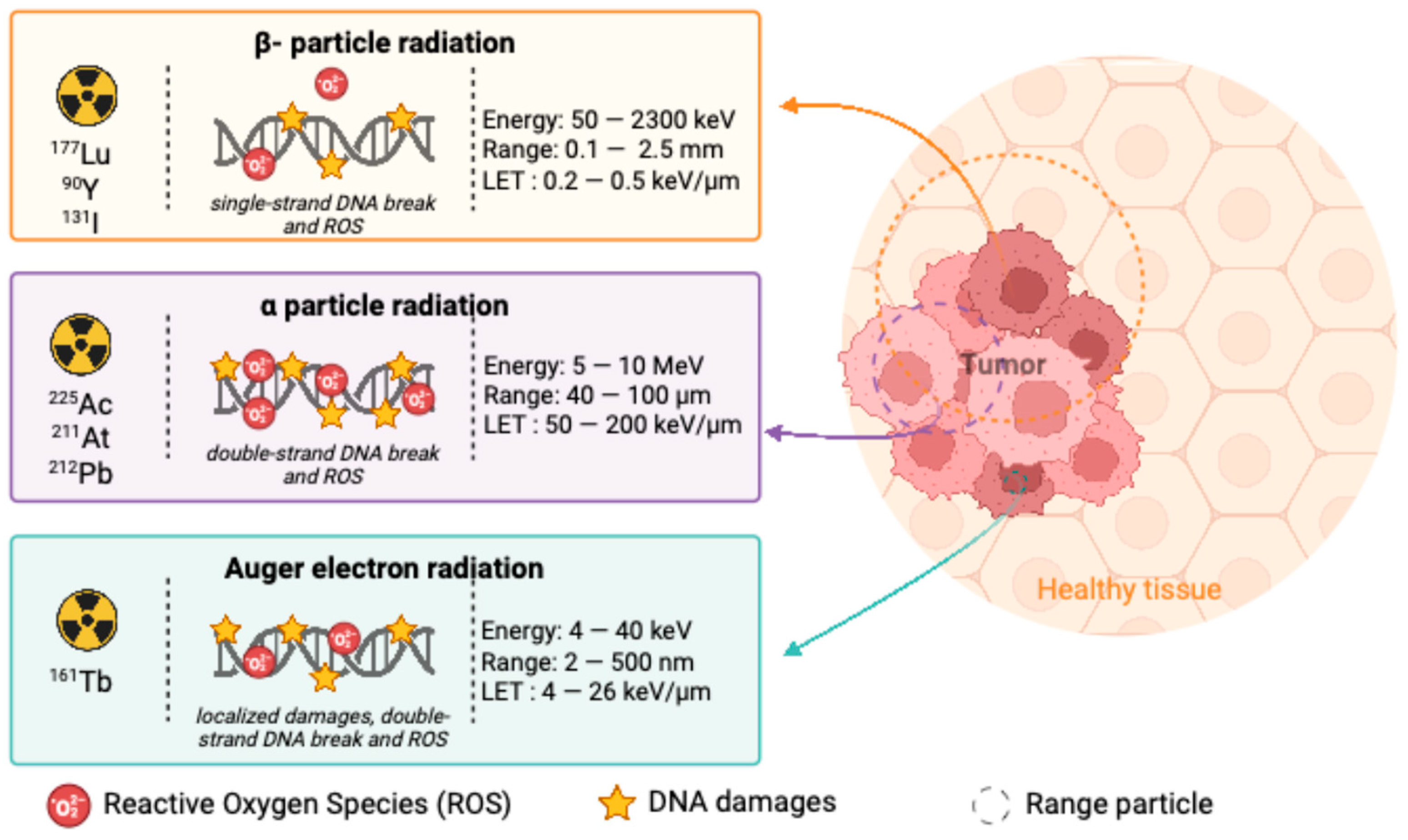 Cancers 17 01247 g002 Cancers 17 01247 g002