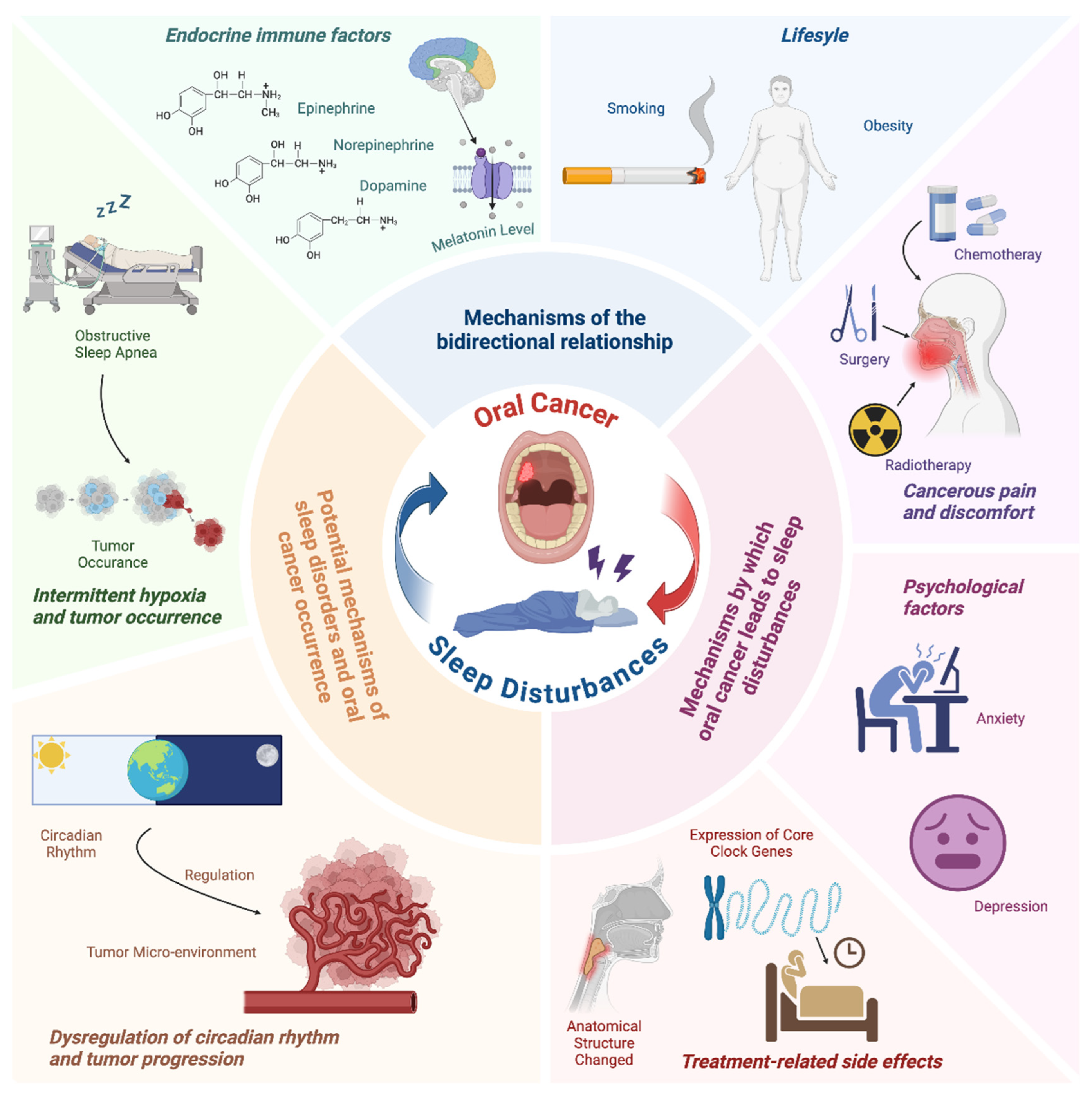 Cancers 17 01262 g002