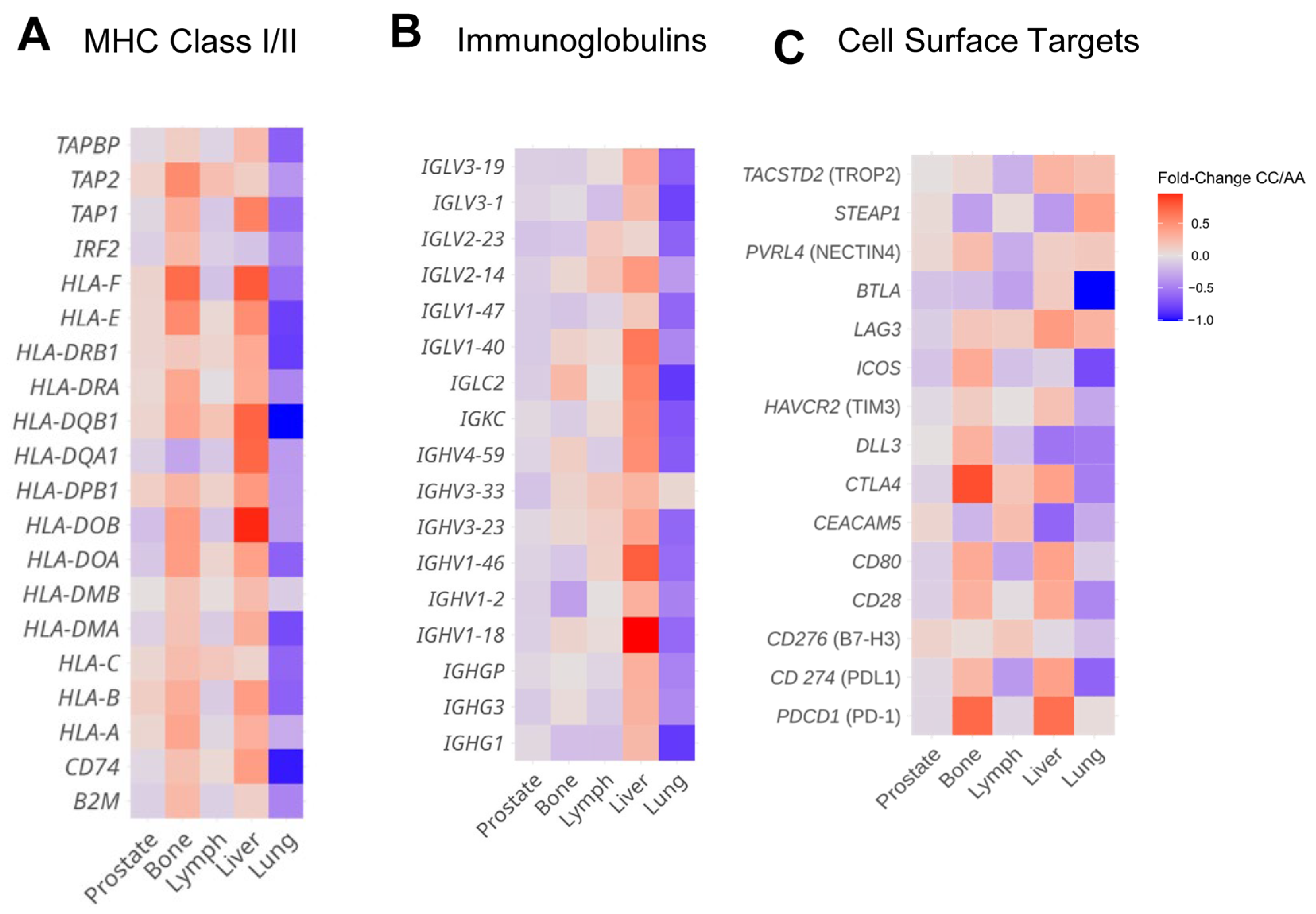 Cancers 17 01270 g005