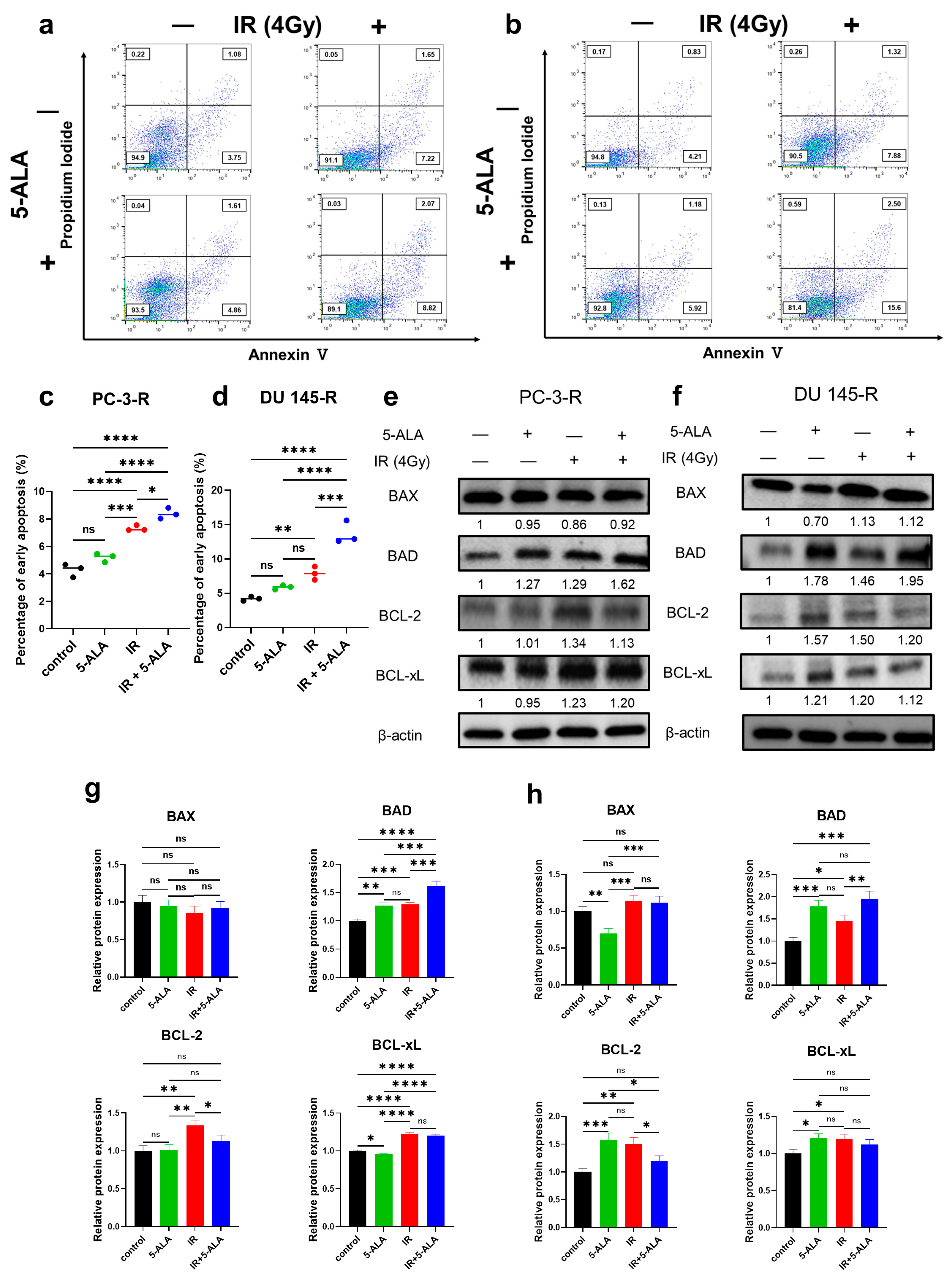 Cancers 17 01286 g002