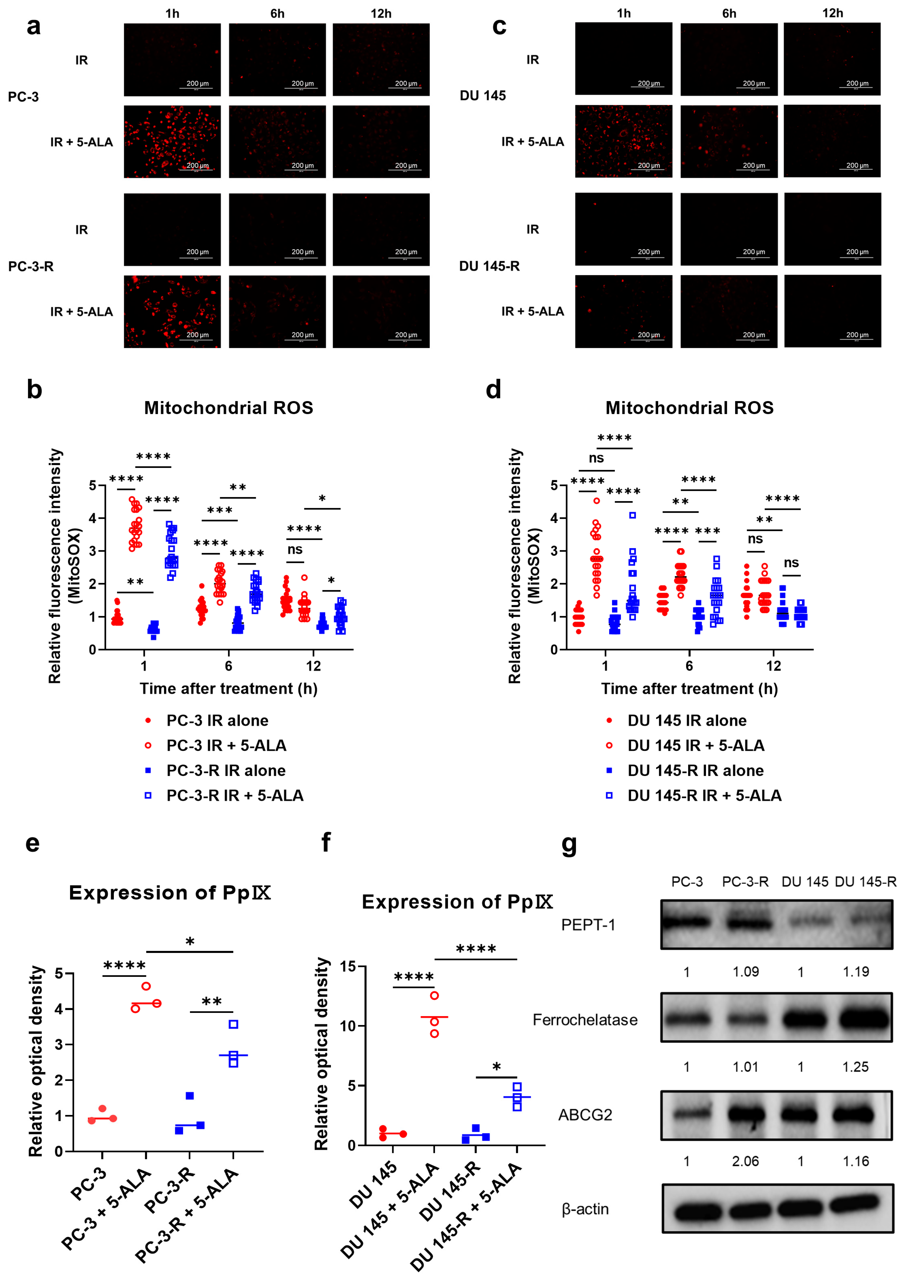 Cancers 17 01286 g003