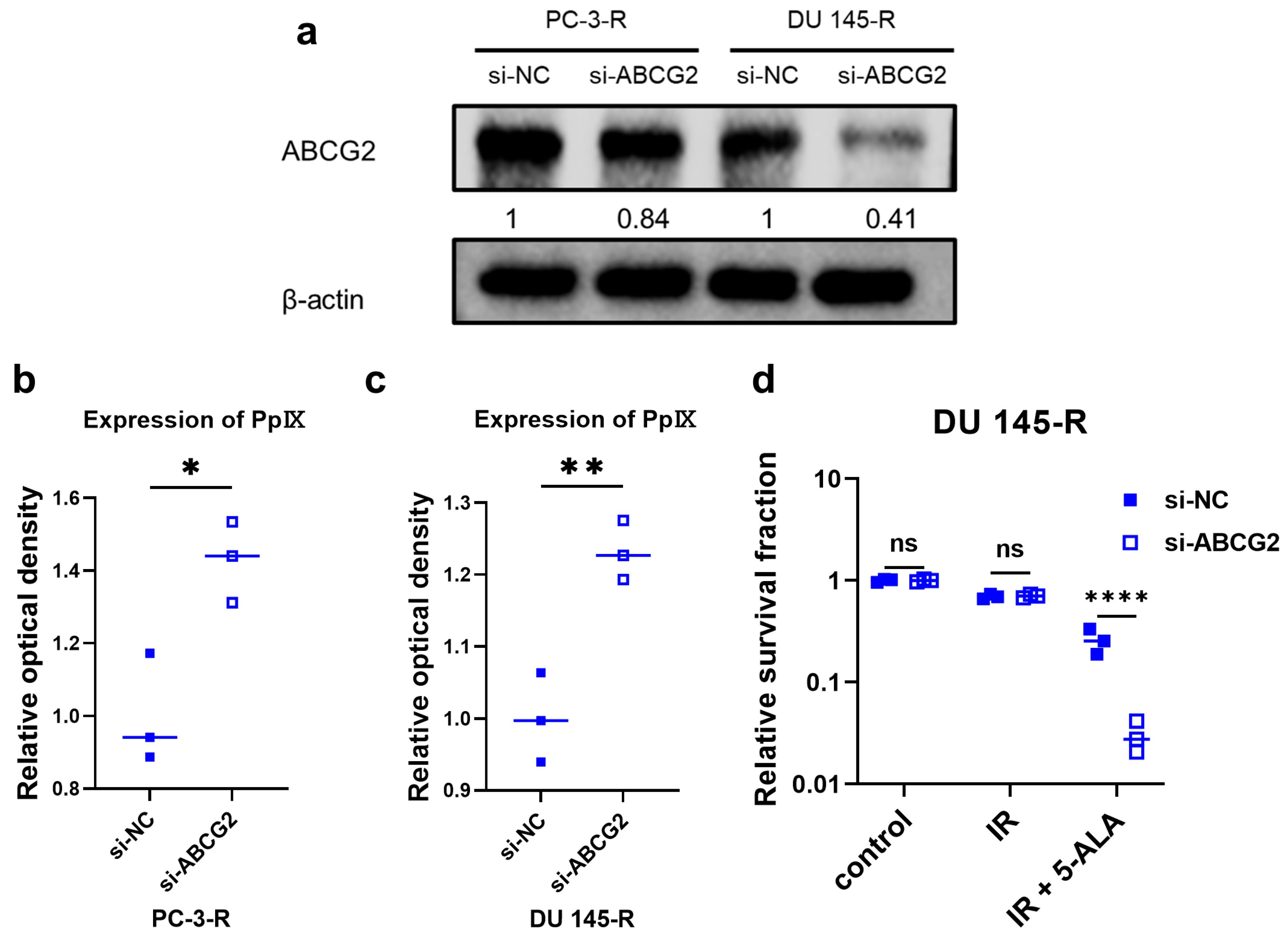 Cancers 17 01286 g004