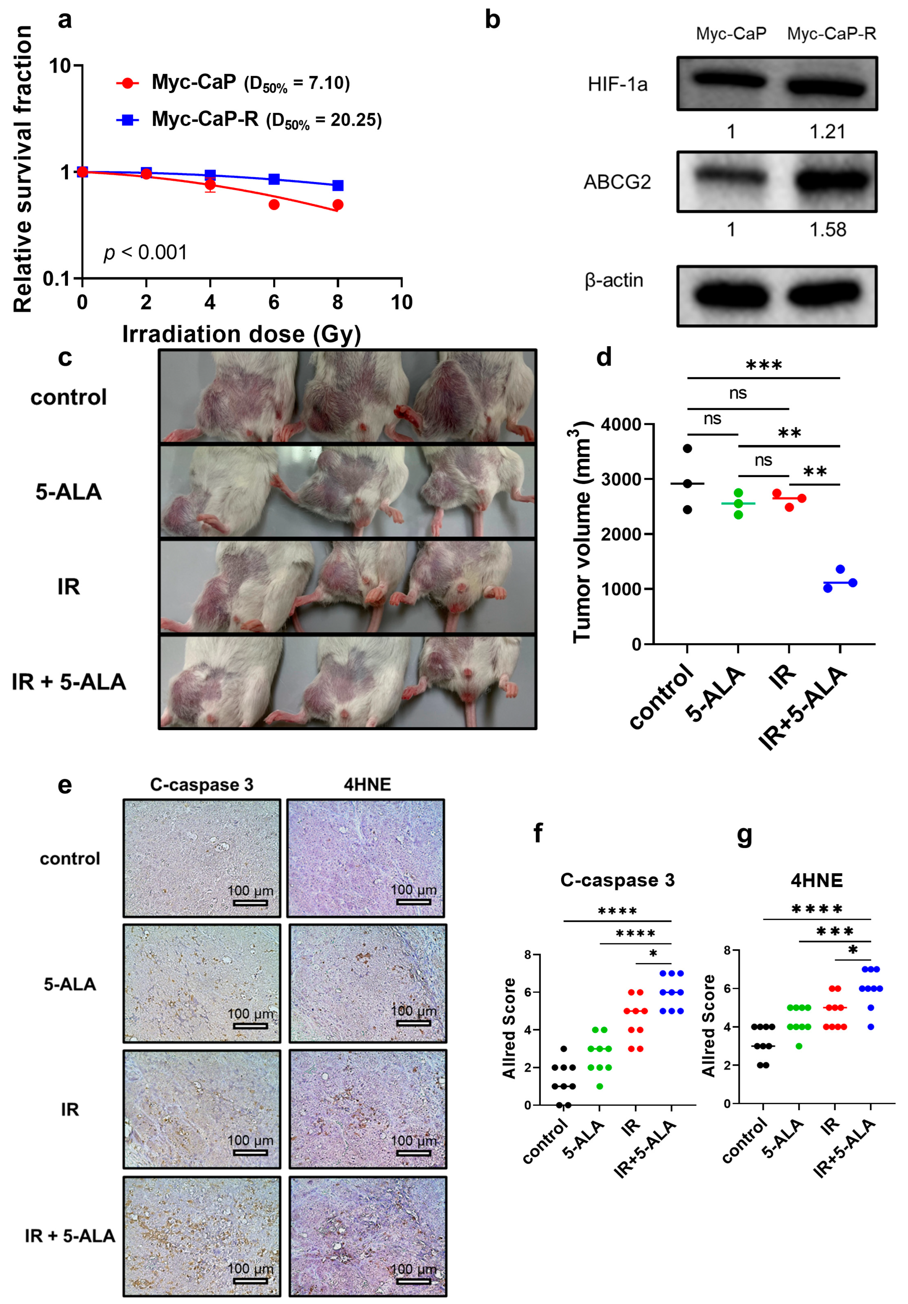 Cancers 17 01286 g005