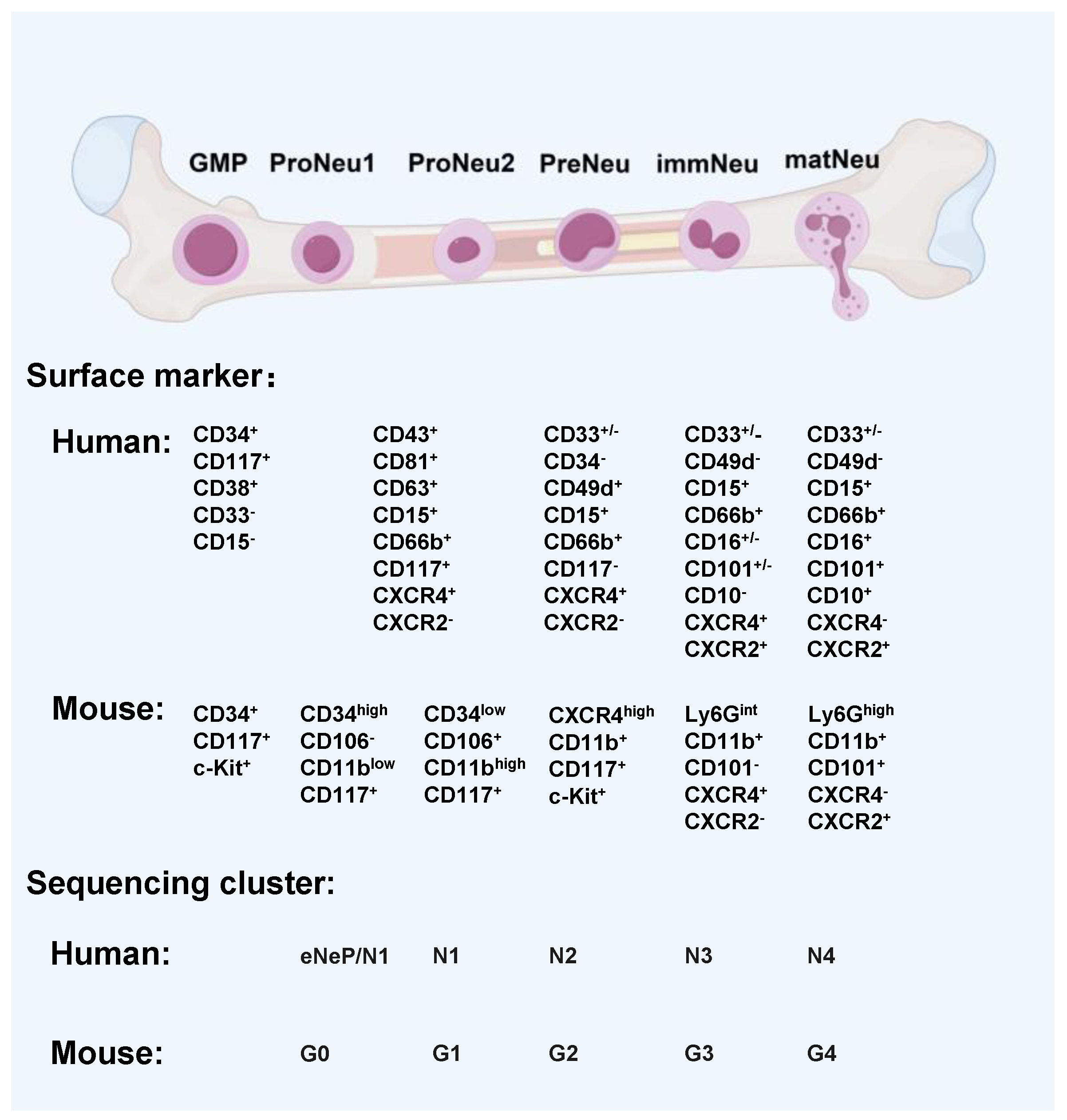 Cancers 17 01298 g001