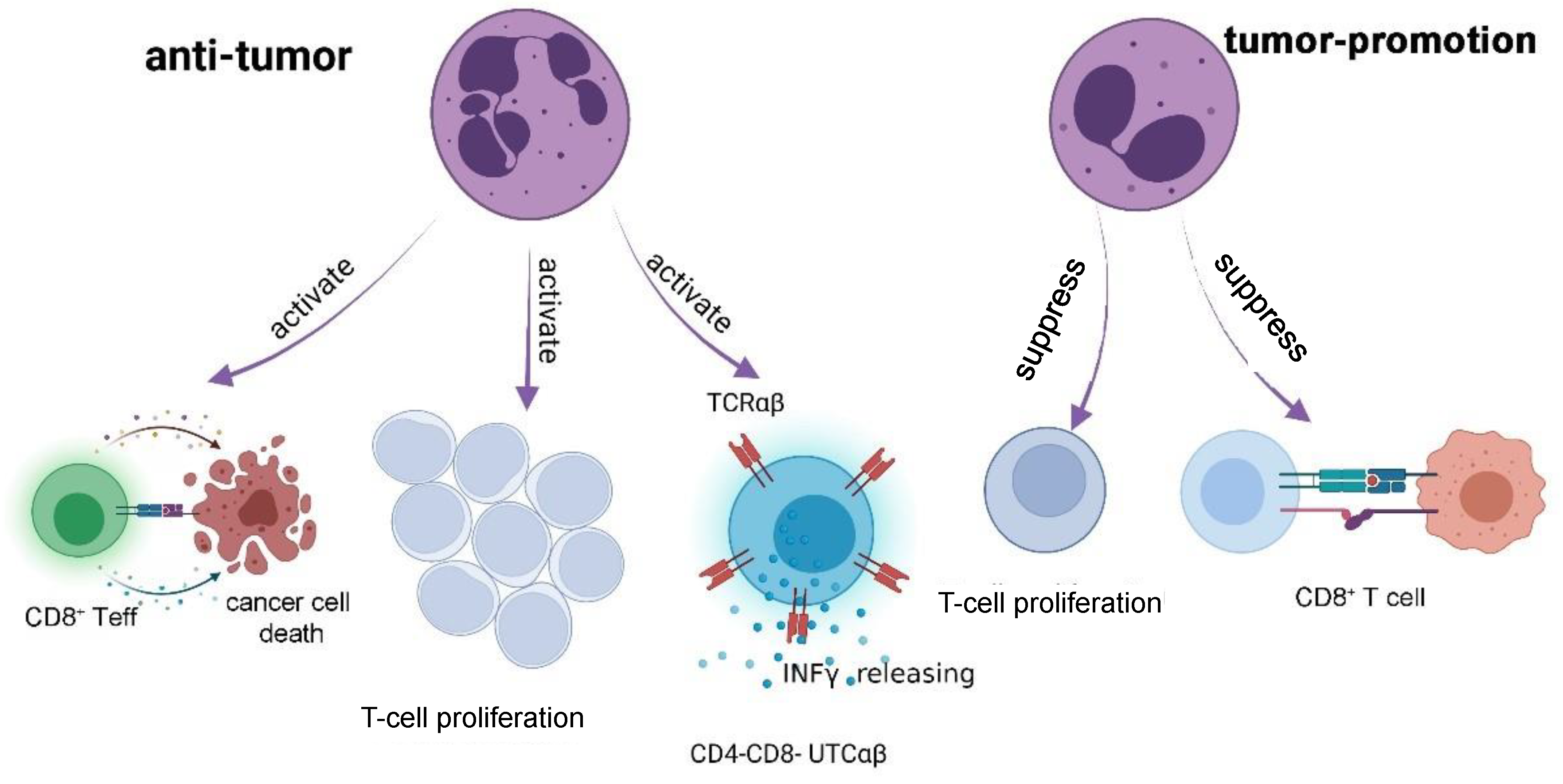 Cancers 17 01298 g004