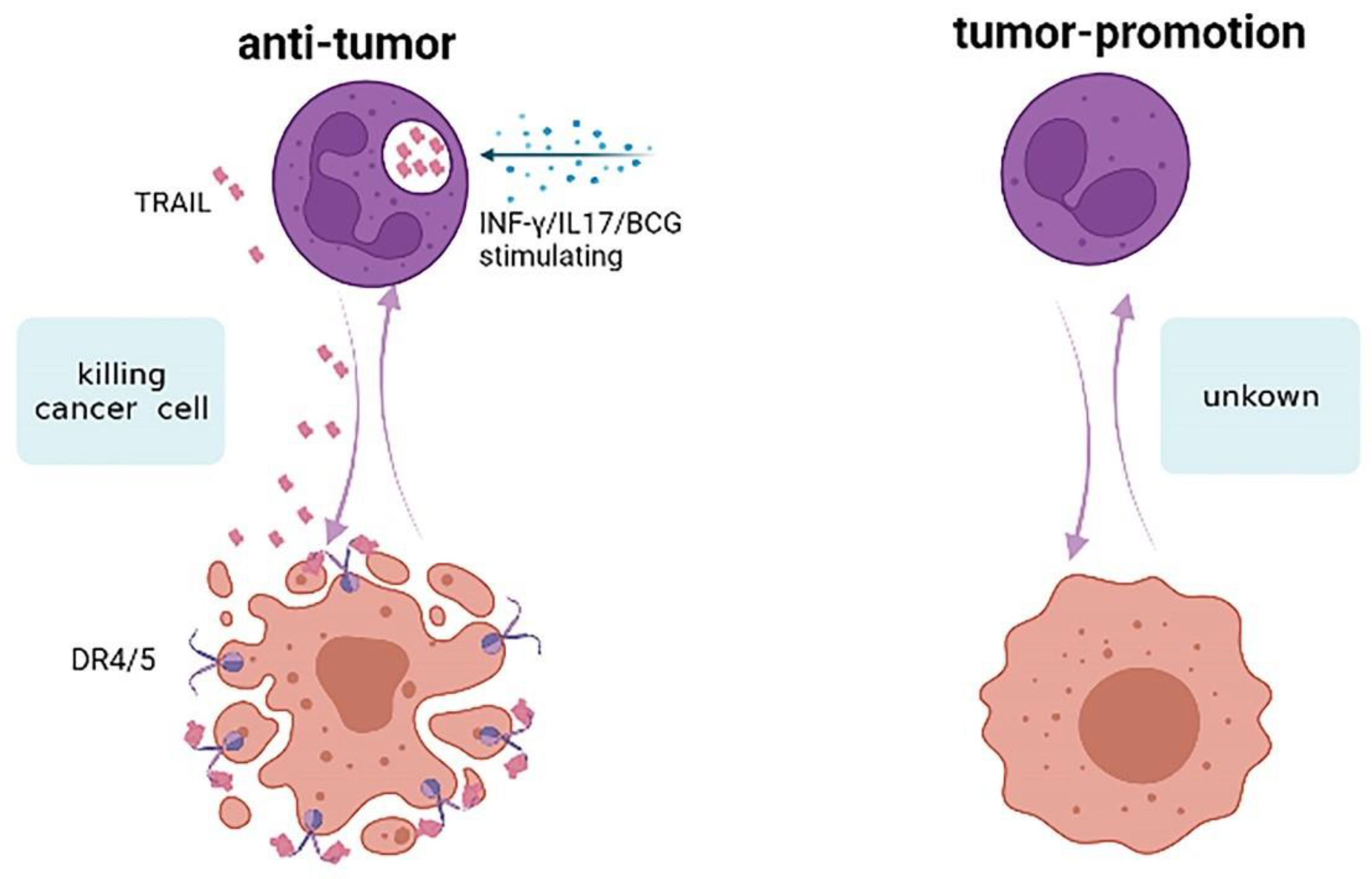 Cancers 17 01298 g006