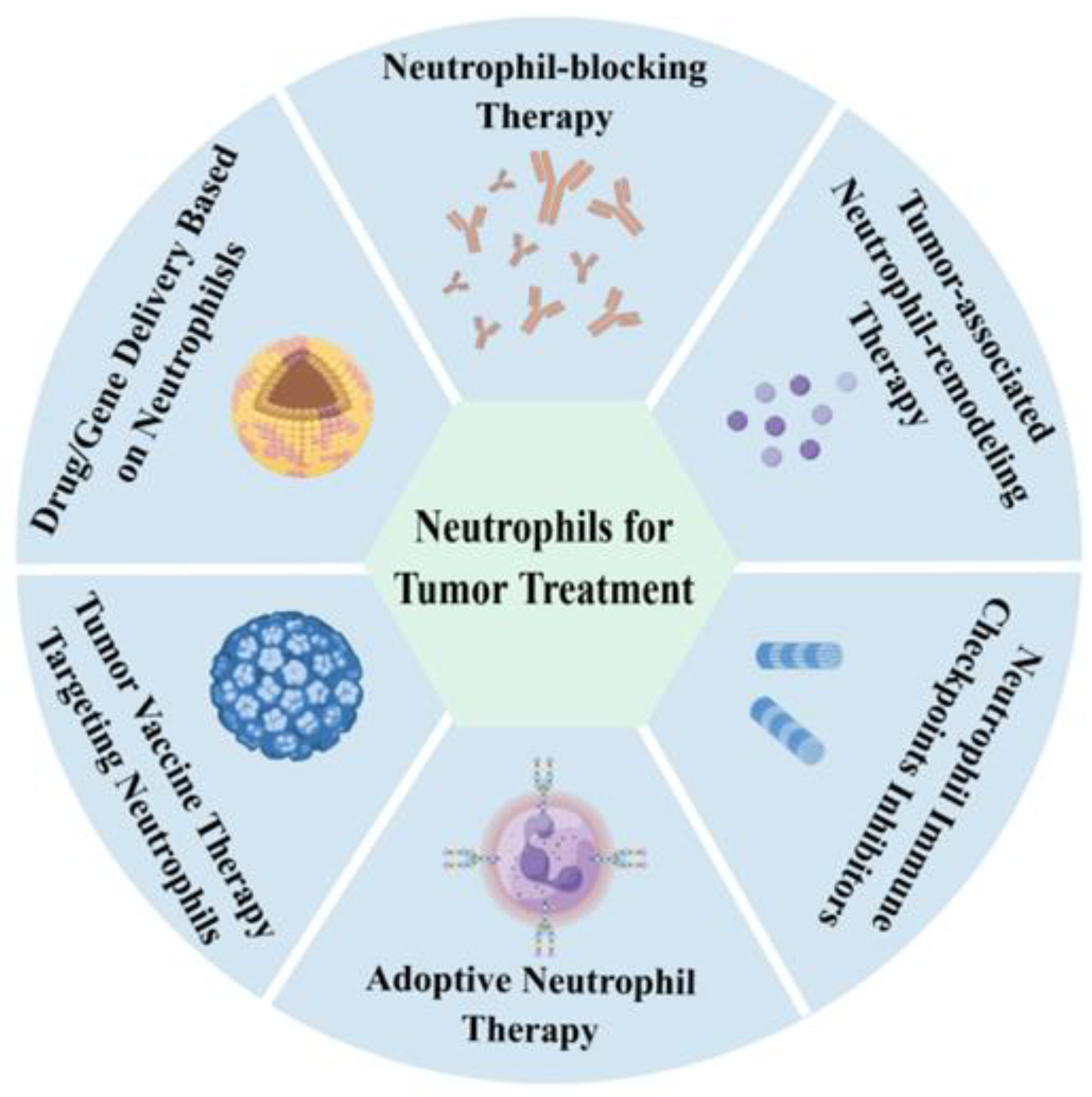 Cancers 17 01298 g007