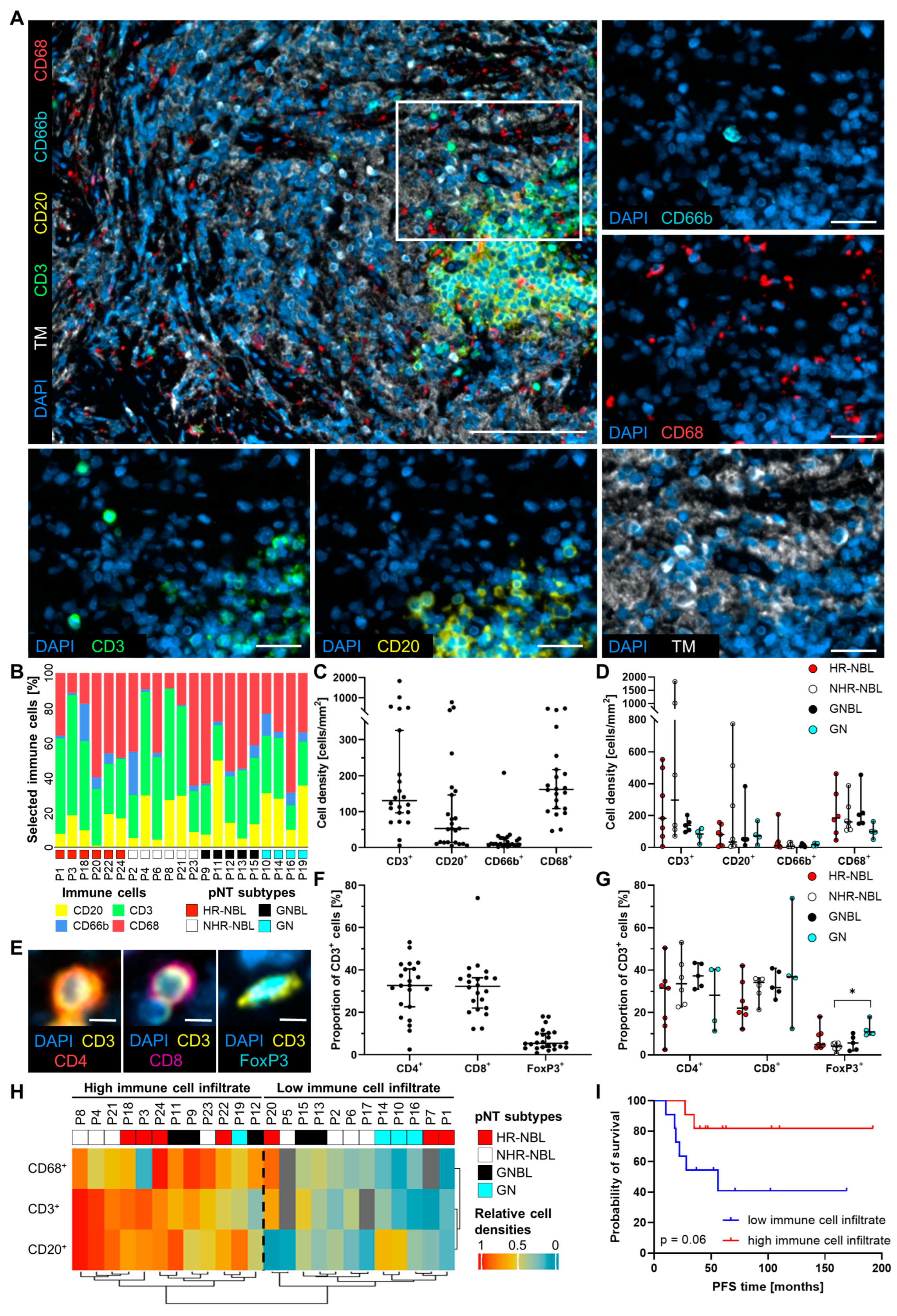 Cancers 17 01303 g001