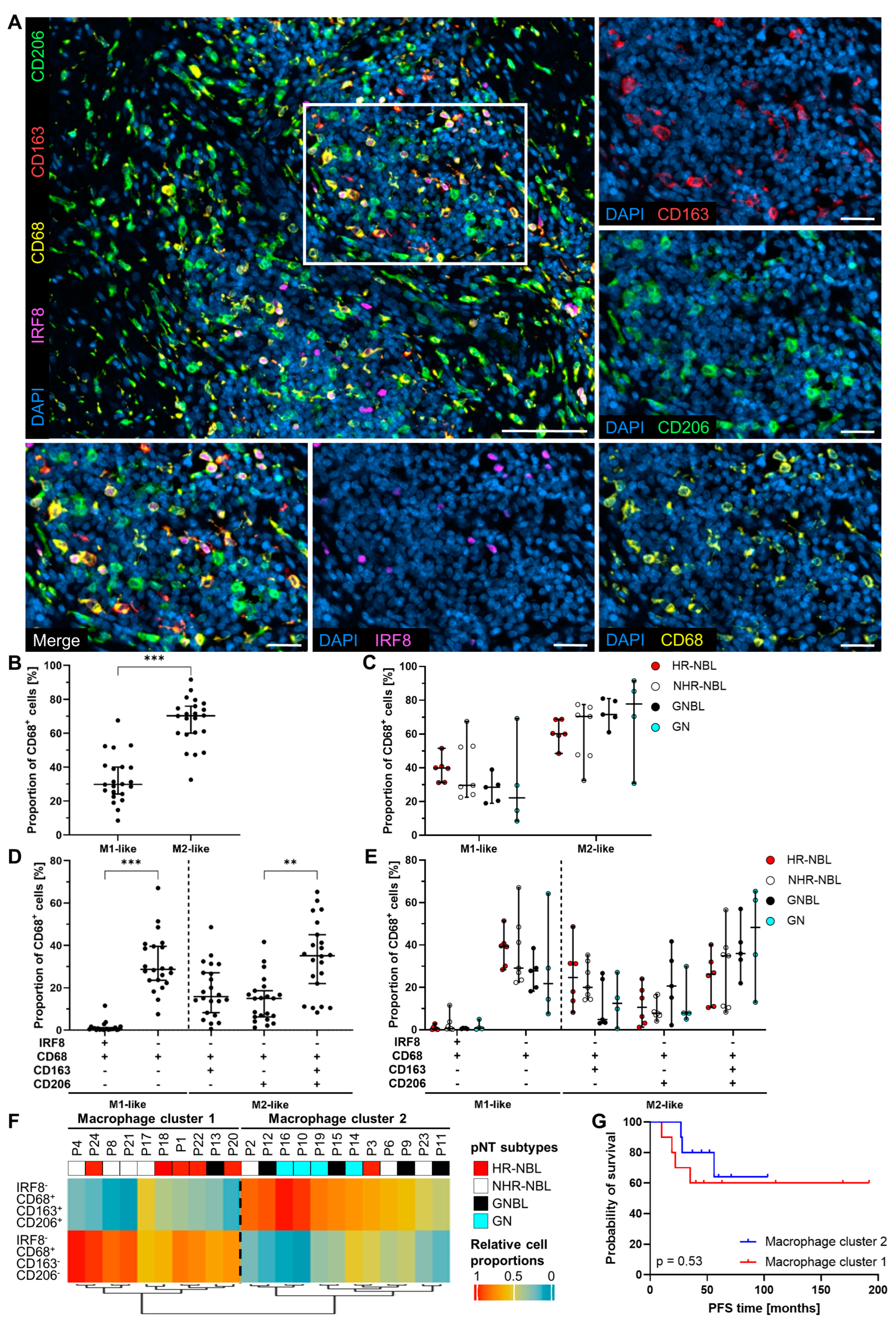 Cancers 17 01303 g003