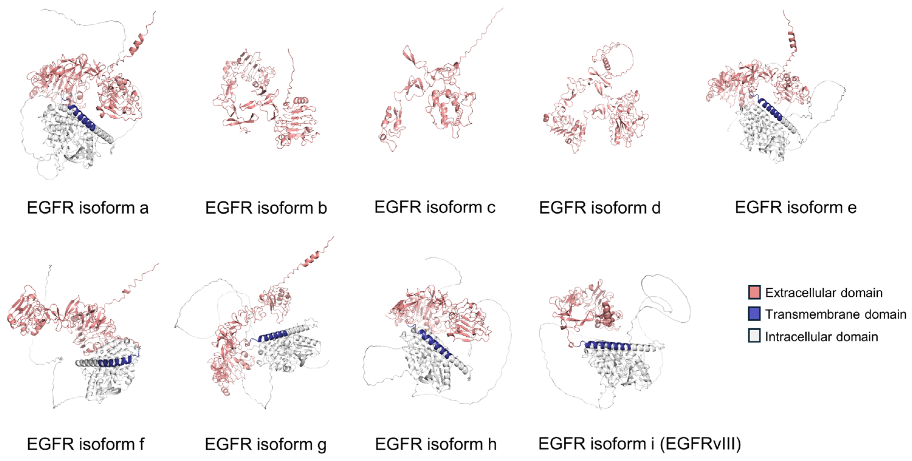 Cancers 17 01329 g001