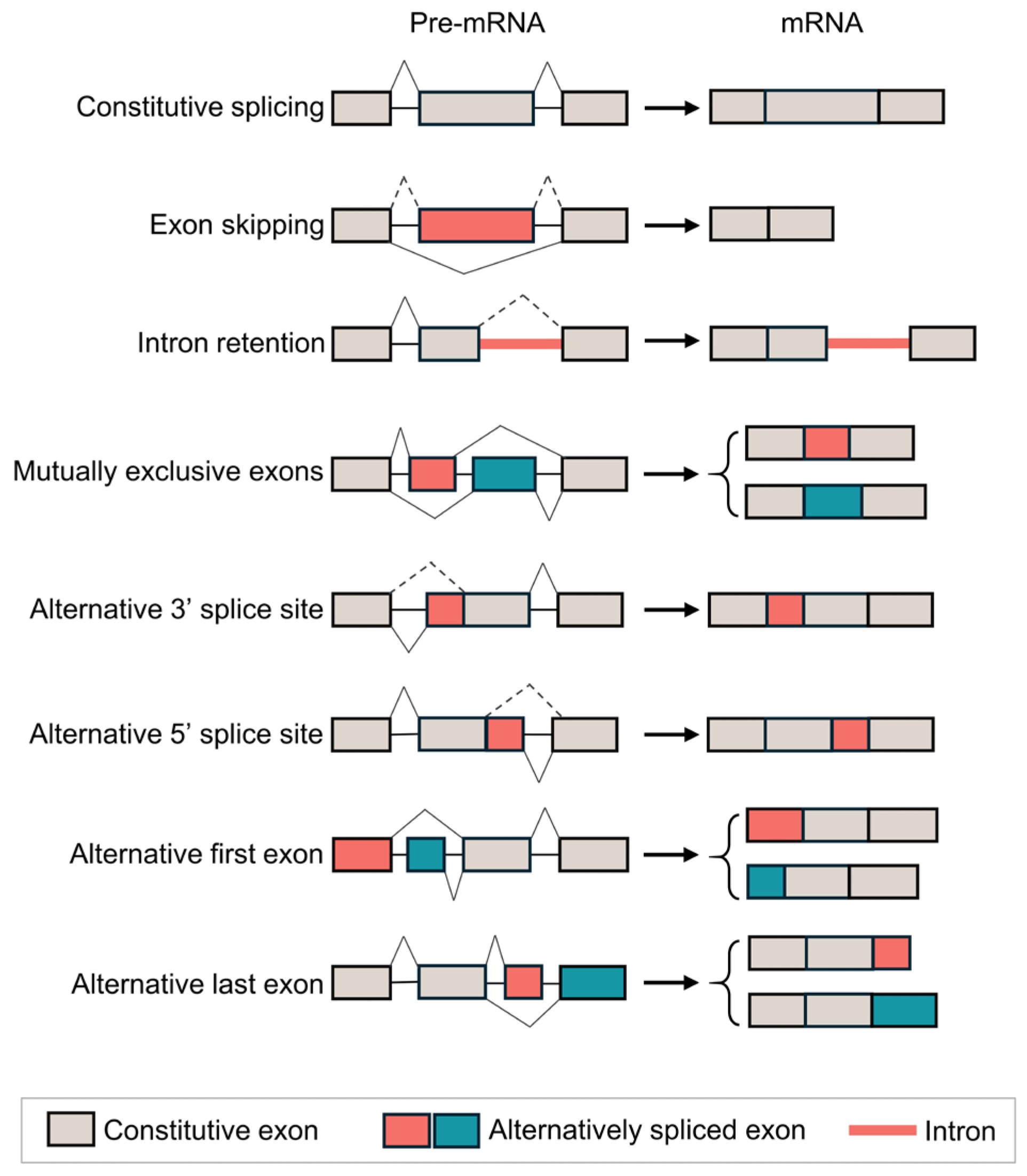 Cancers 17 01329 g002
