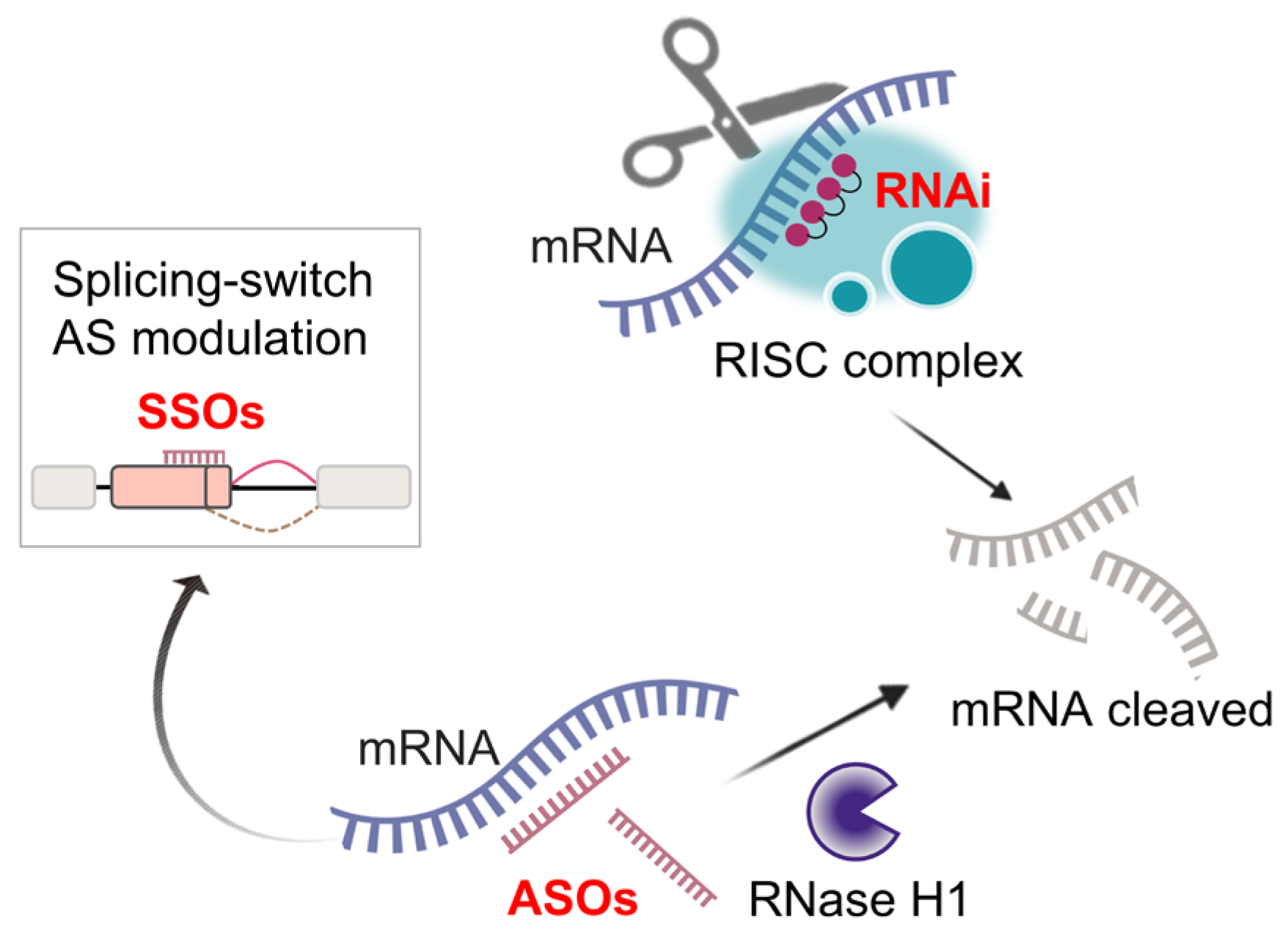 Cancers 17 01329 g005