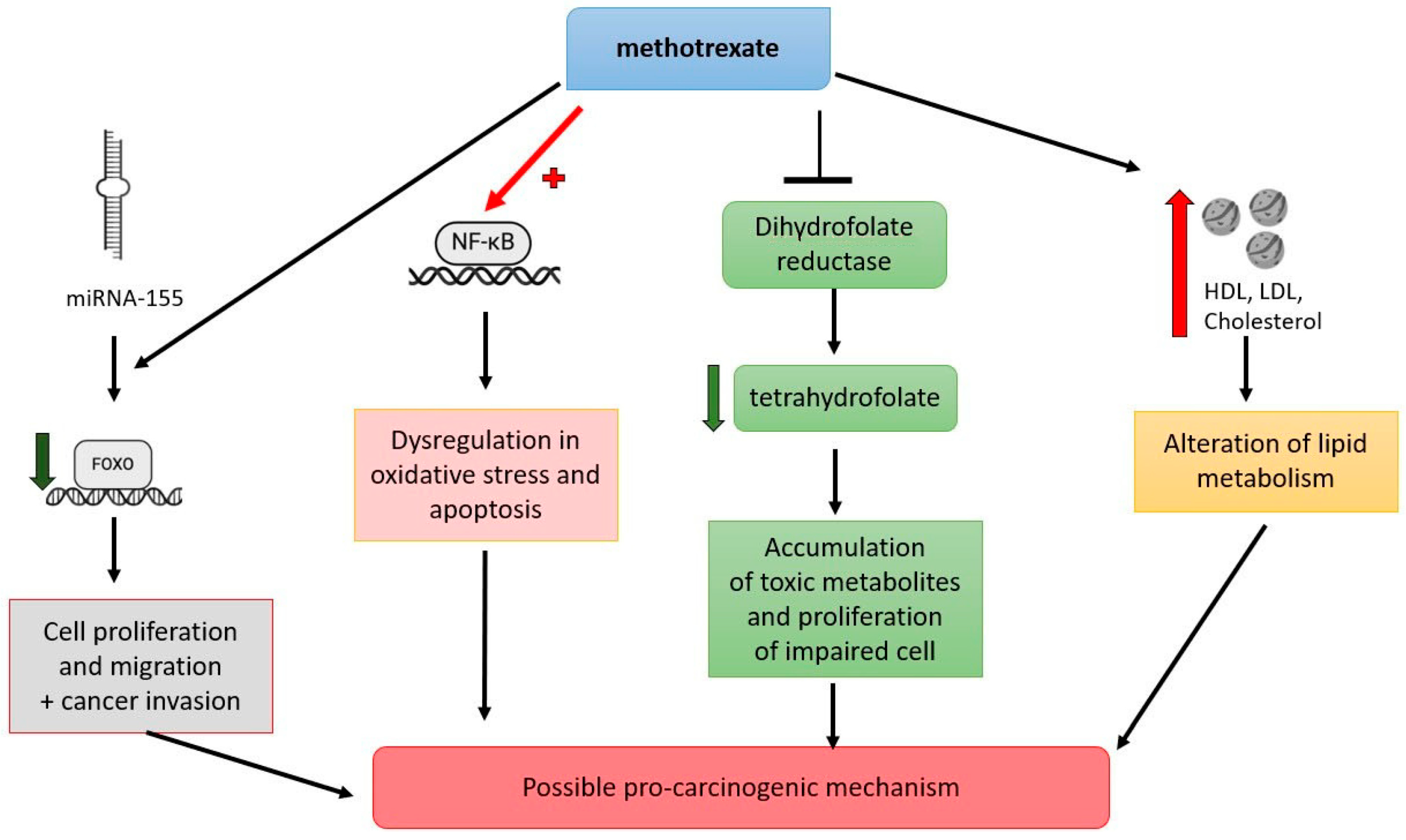 Cancers 17 01330 g003