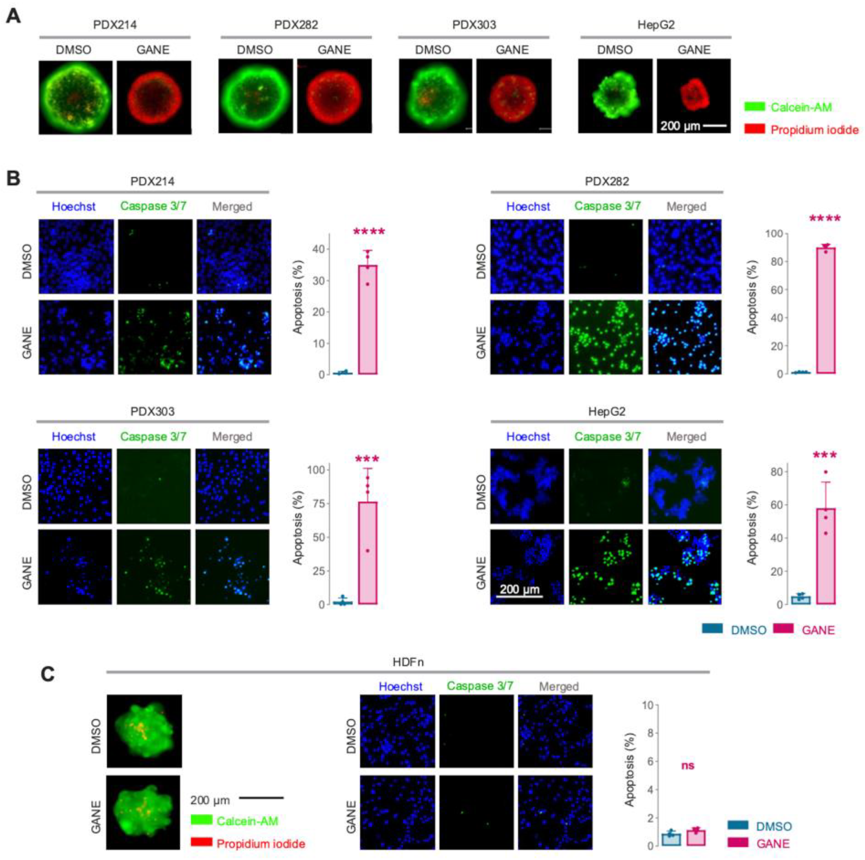 Cancers 17 01341 g003