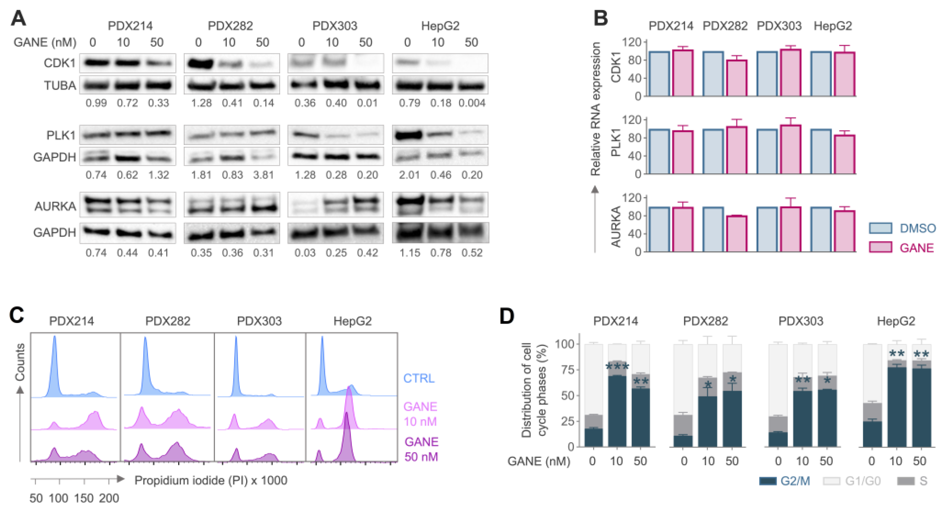 Cancers 17 01341 g005