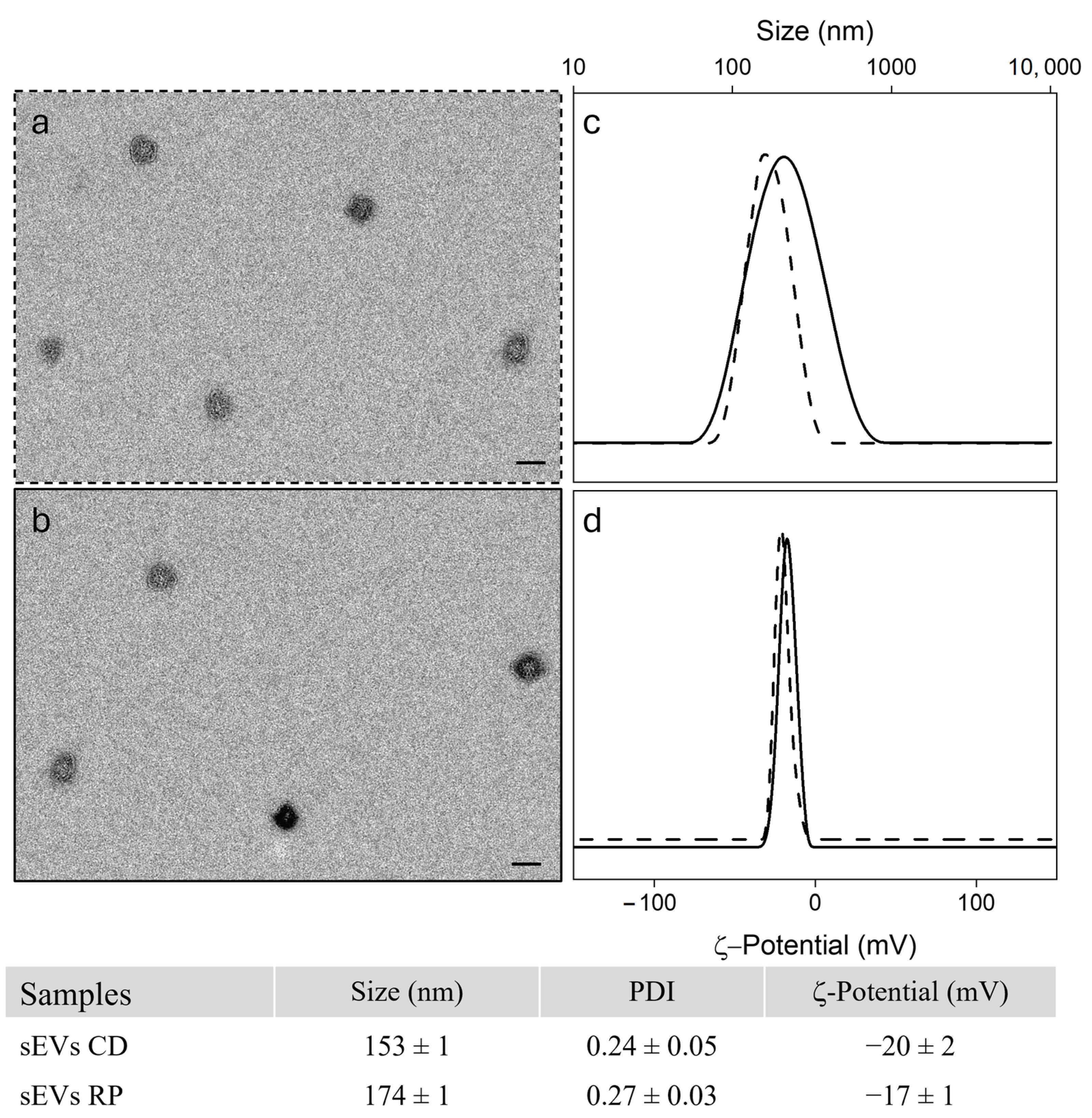 Cancers 17 01360 g002
