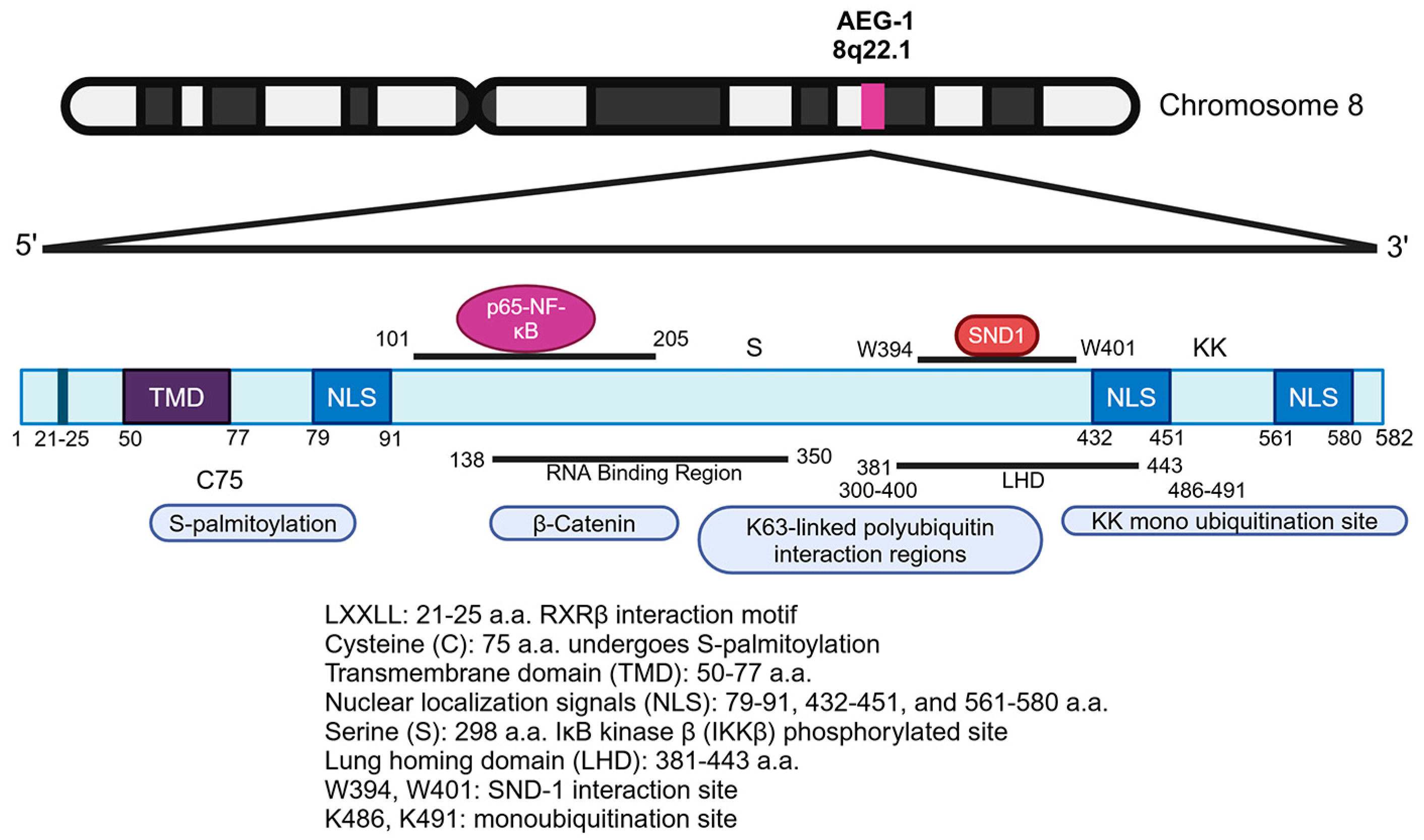 Cancers 17 01375 g002 Cancers 17 01375 g002