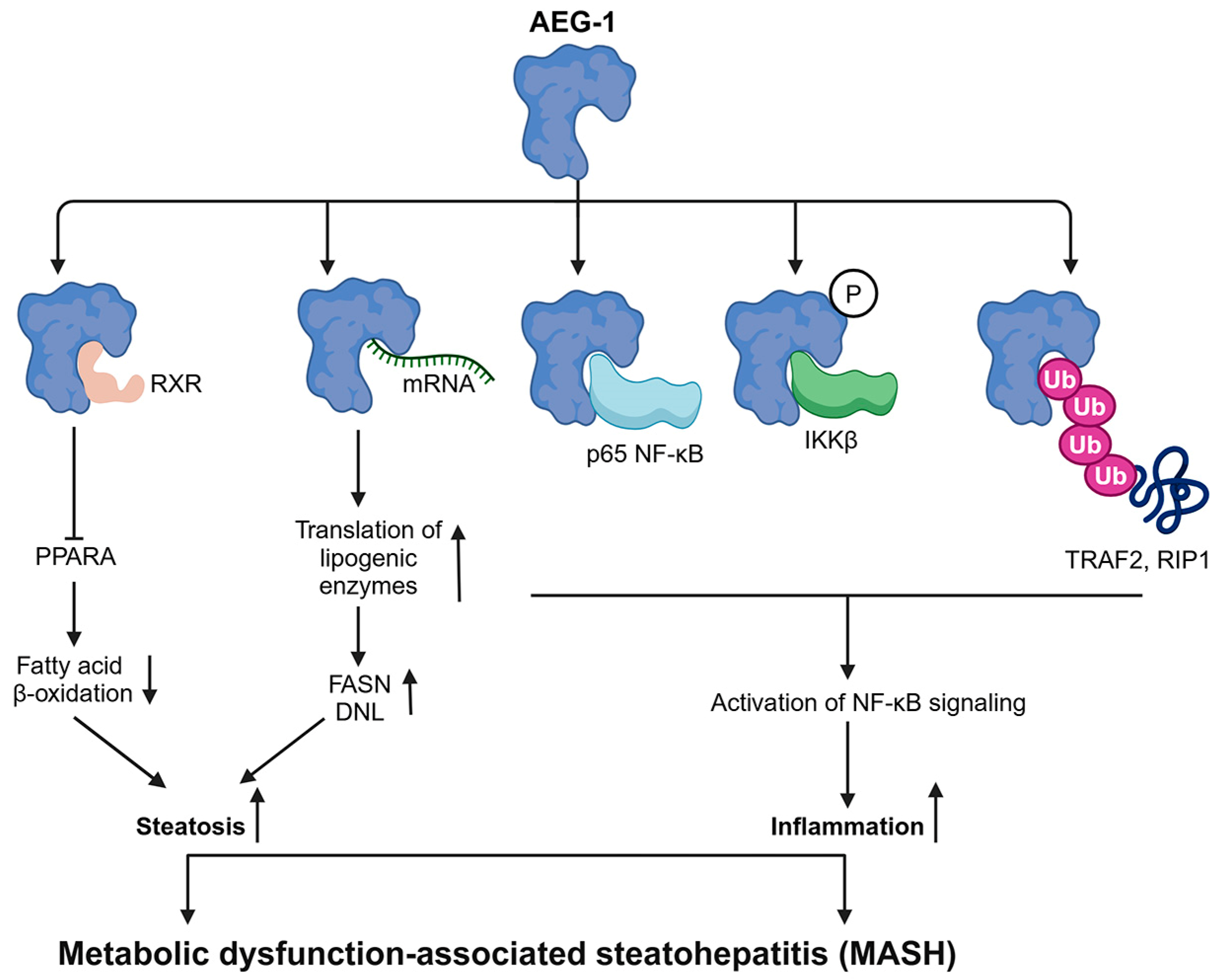 Cancers 17 01375 g003 Cancers 17 01375 g003