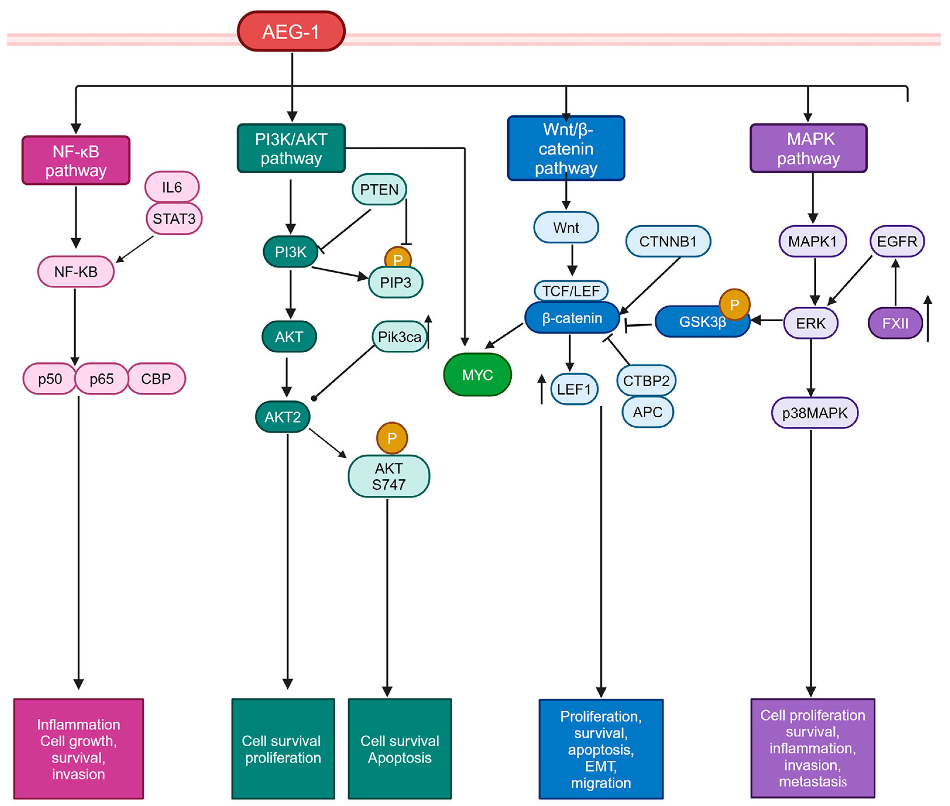 Cancers 17 01375 g005 Cancers 17 01375 g005