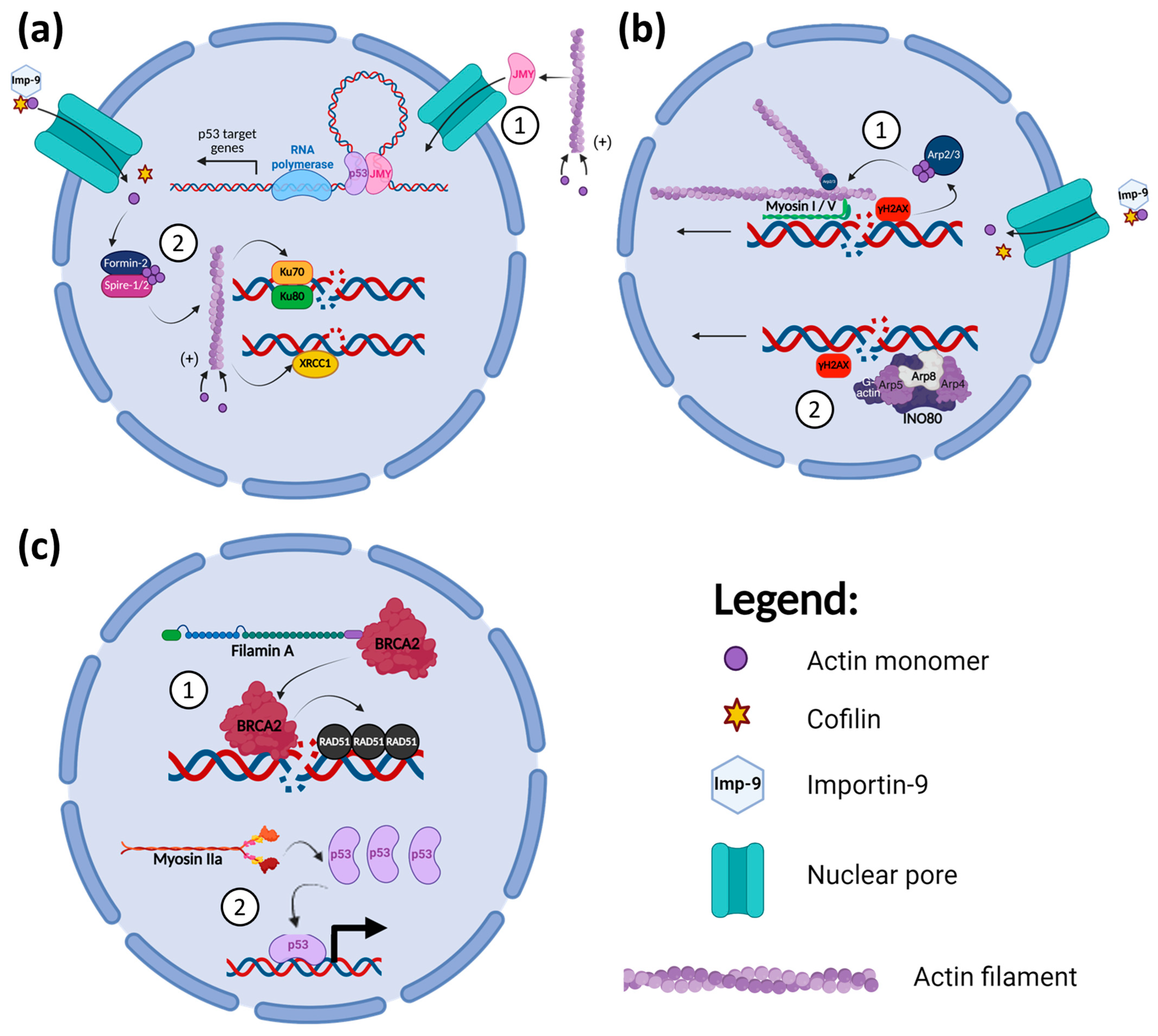 Cancers 17 01378 g001