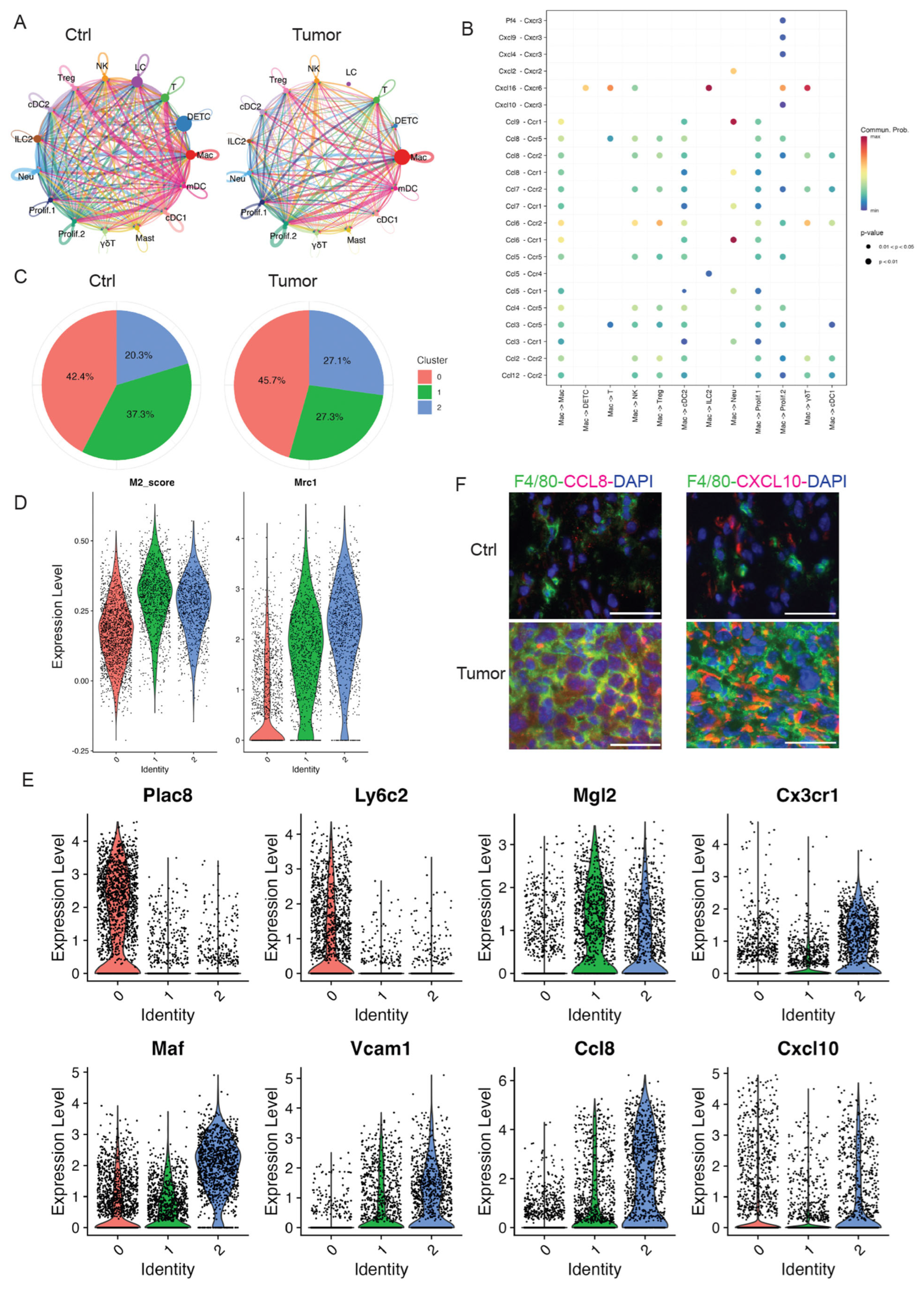 Cancers 17 01379 g003 Cancers 17 01379 g003