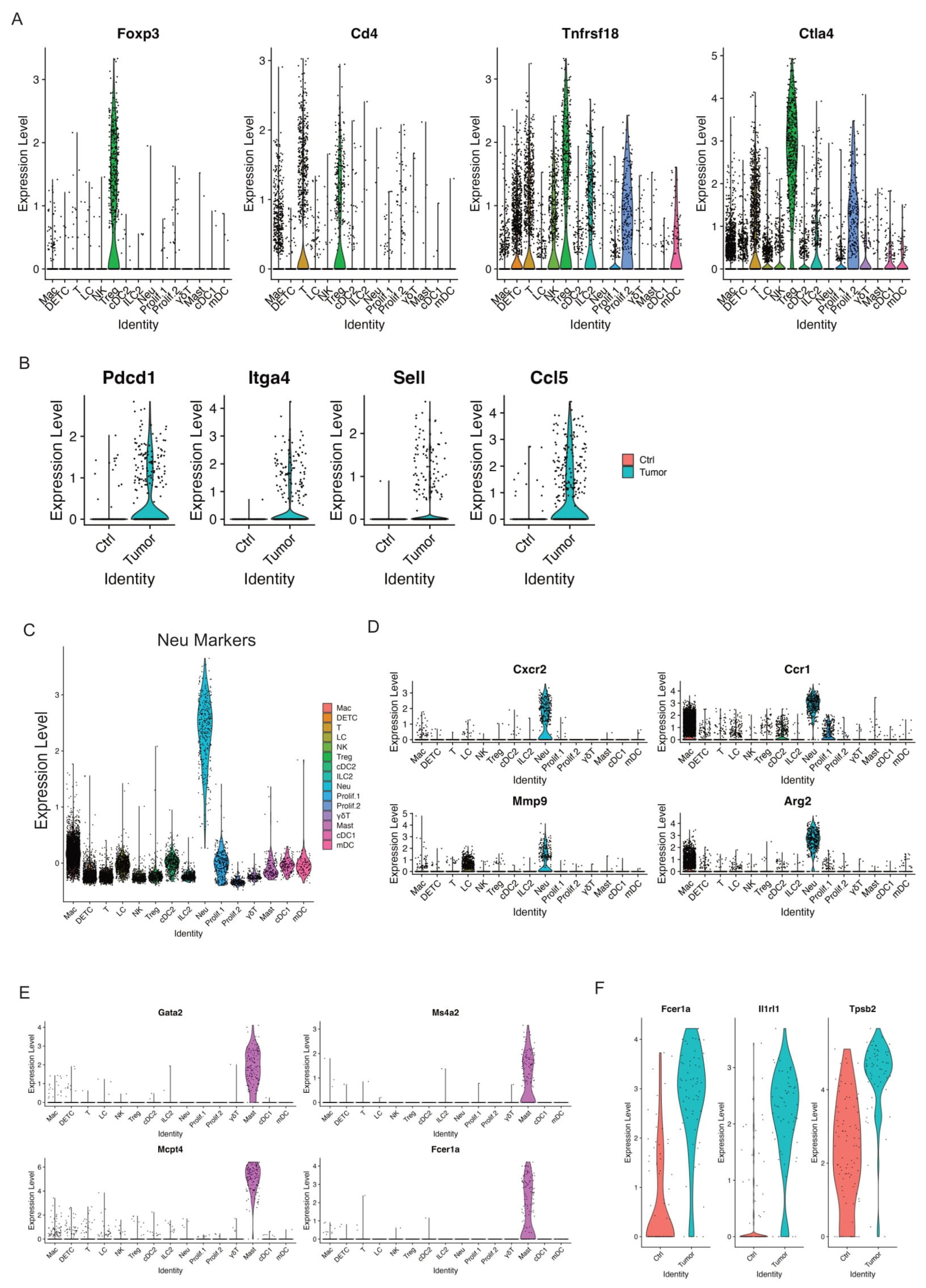 Cancers 17 01379 g006 Cancers 17 01379 g006