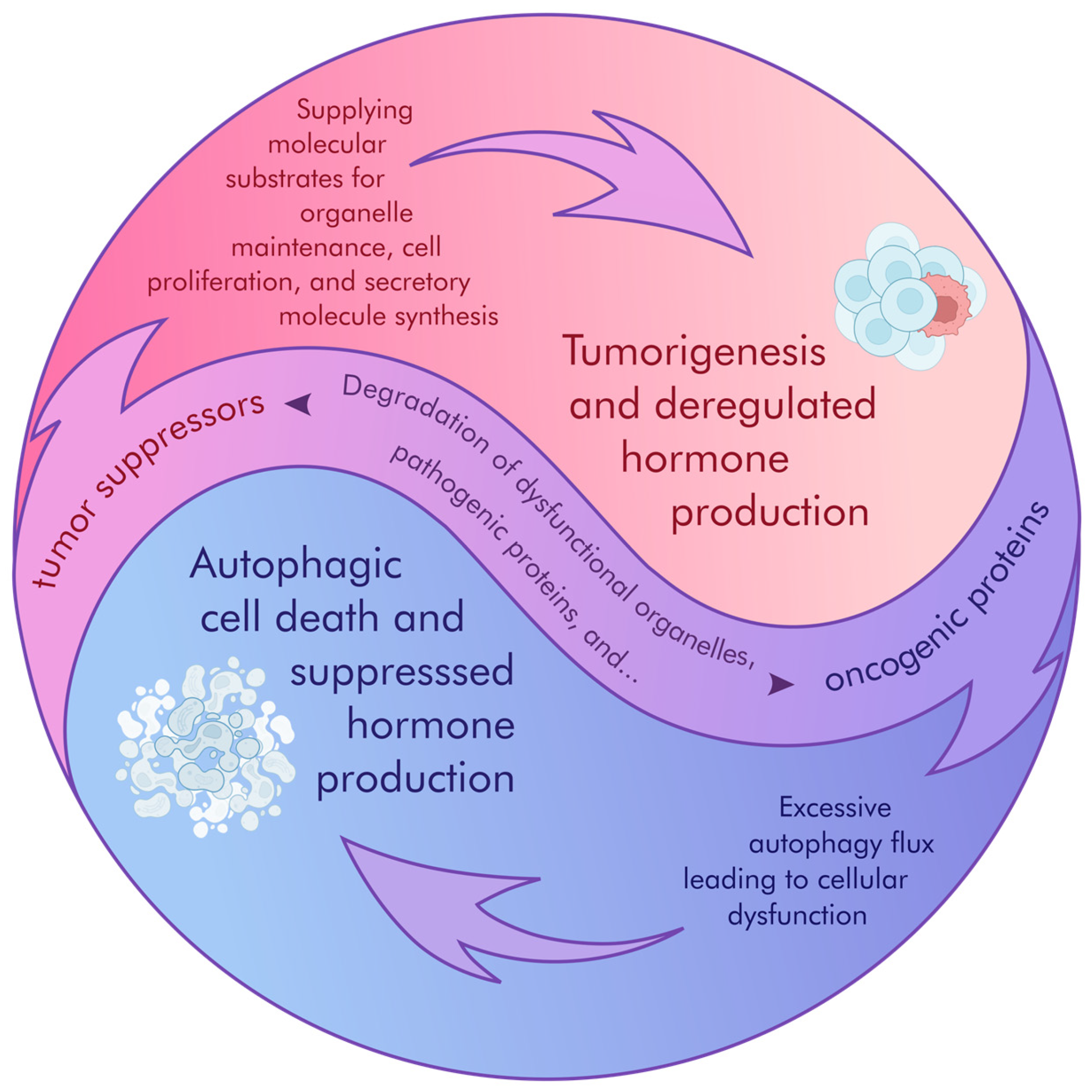 Cancers 17 01402 g001