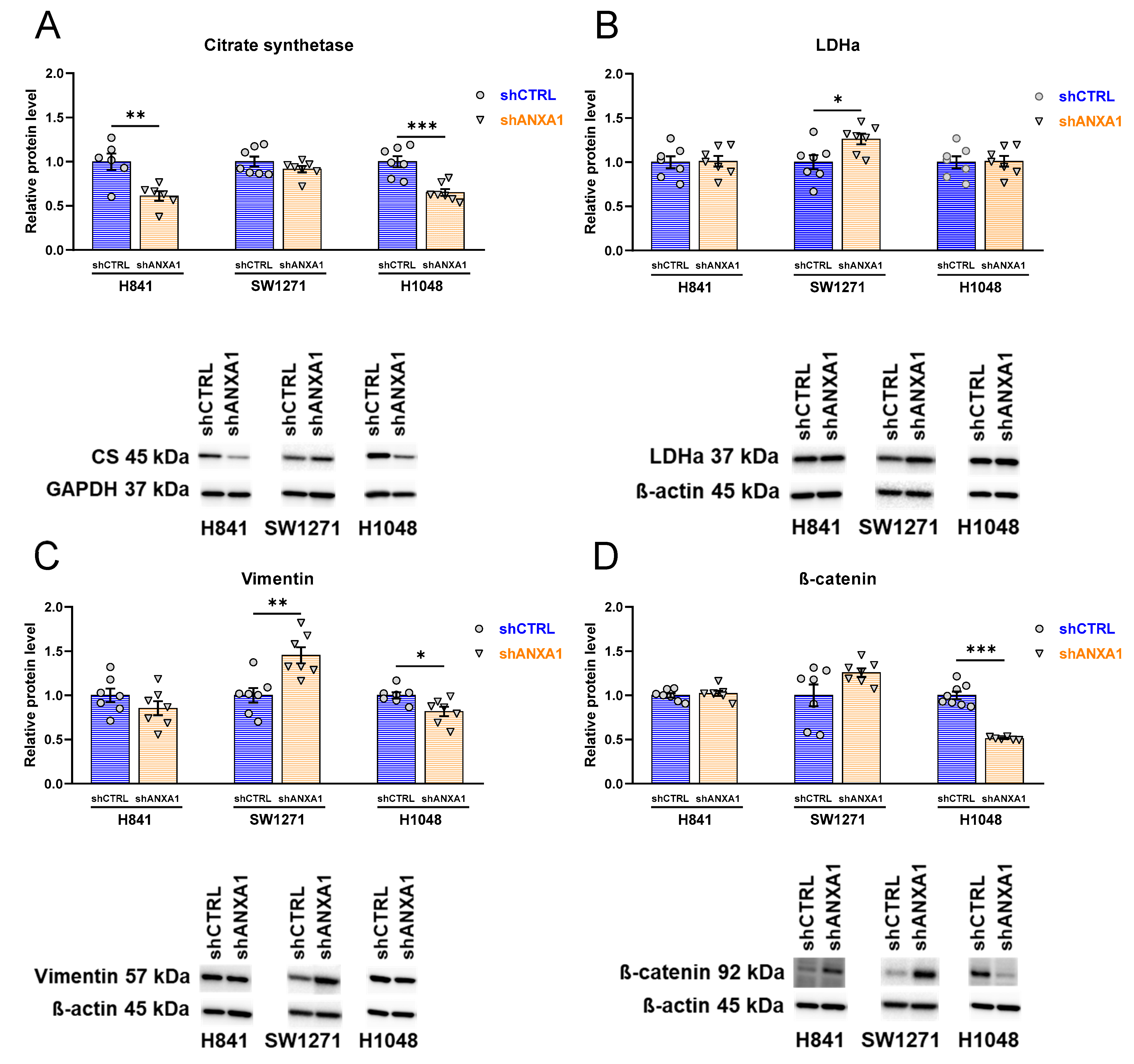Cancers 17 01407 g007