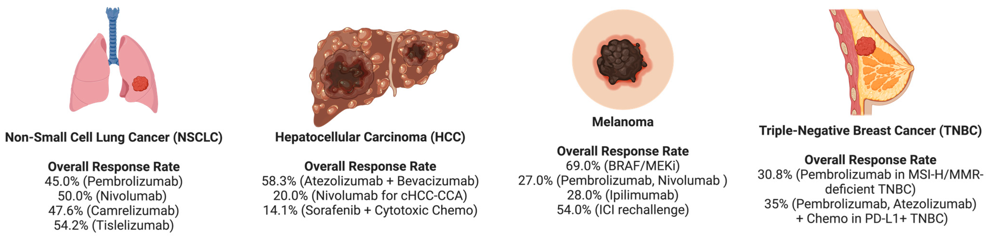 Cancers 17 01408 g001