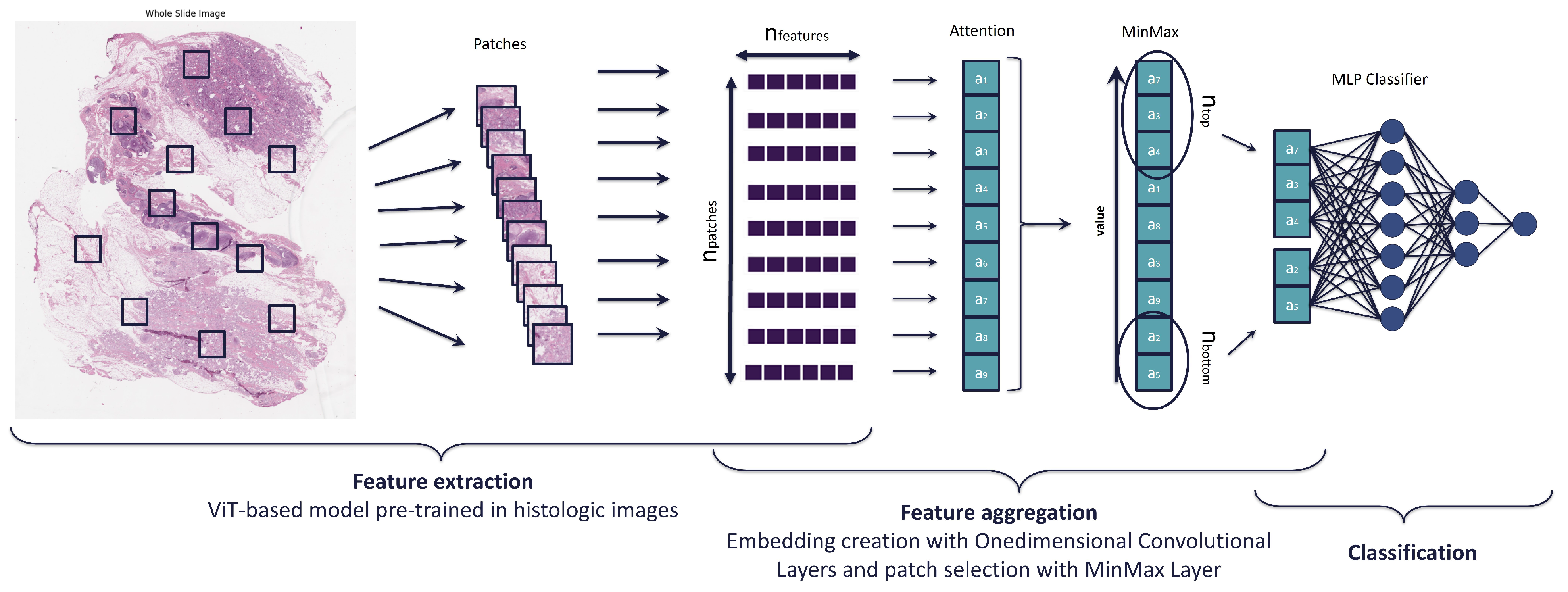 Cancers 17 01425 g002