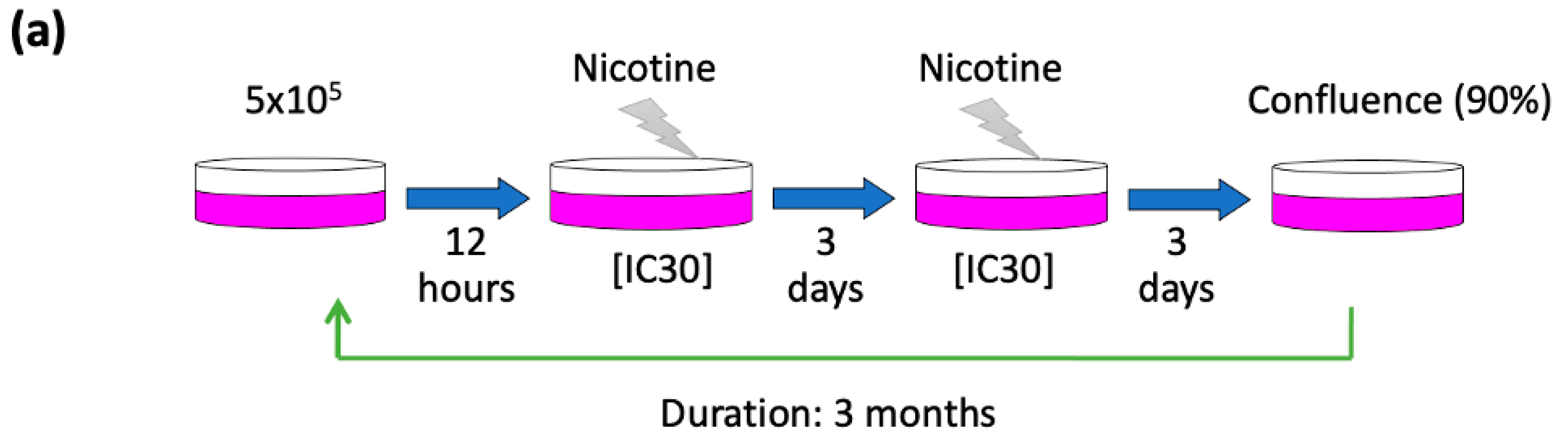 Cancers 17 01430 g001a