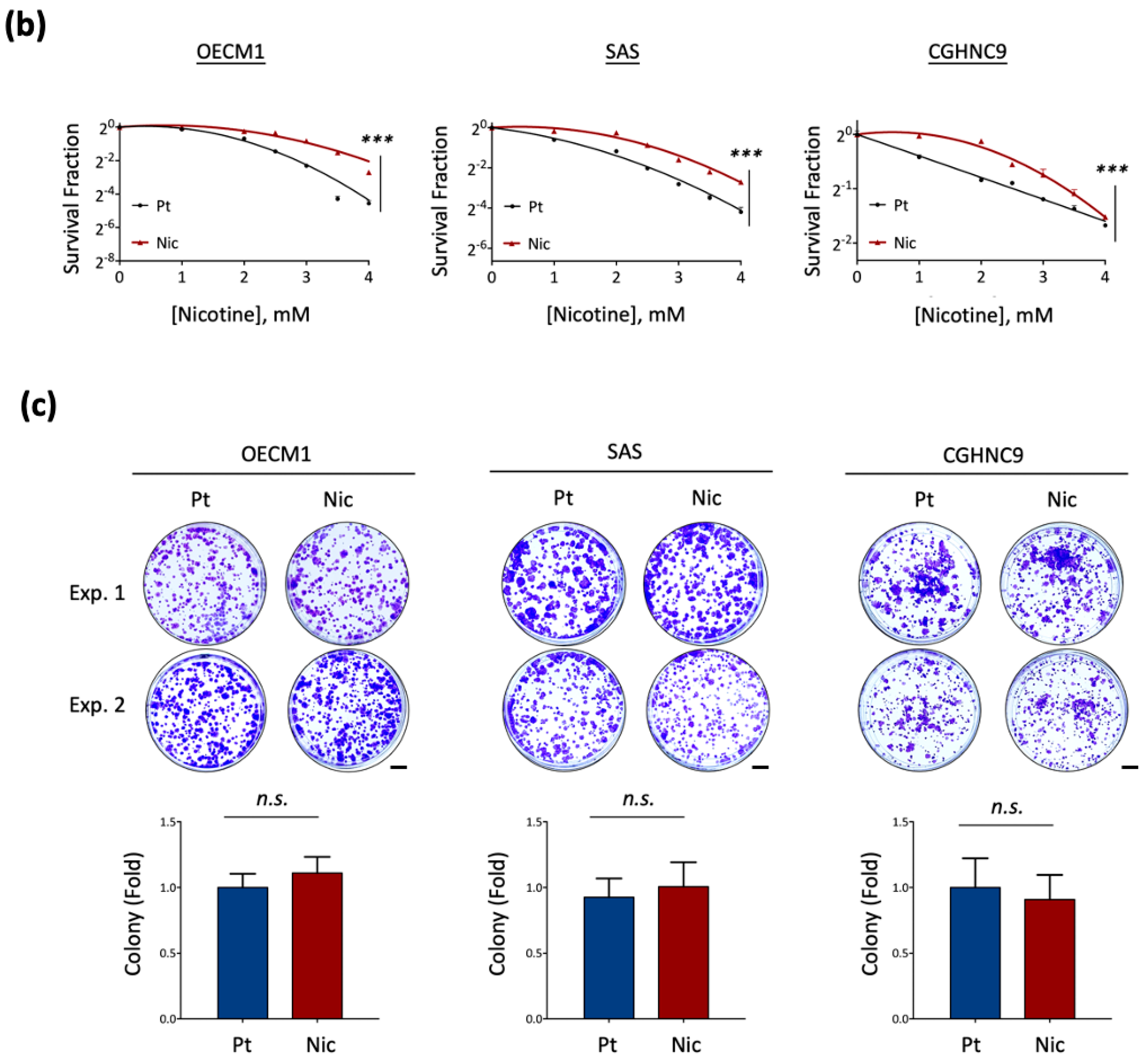 Cancers 17 01430 g001b