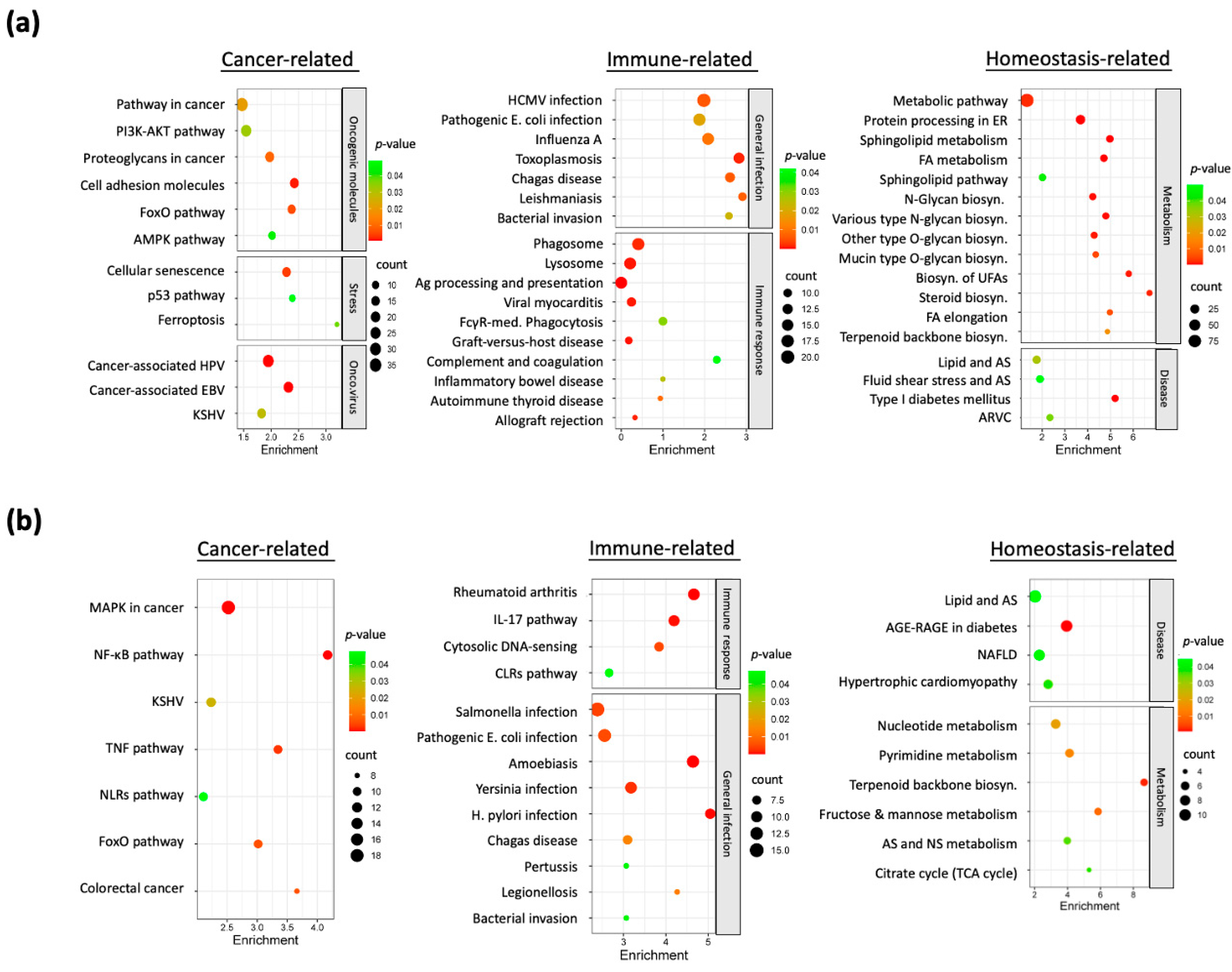 Cancers 17 01430 g003