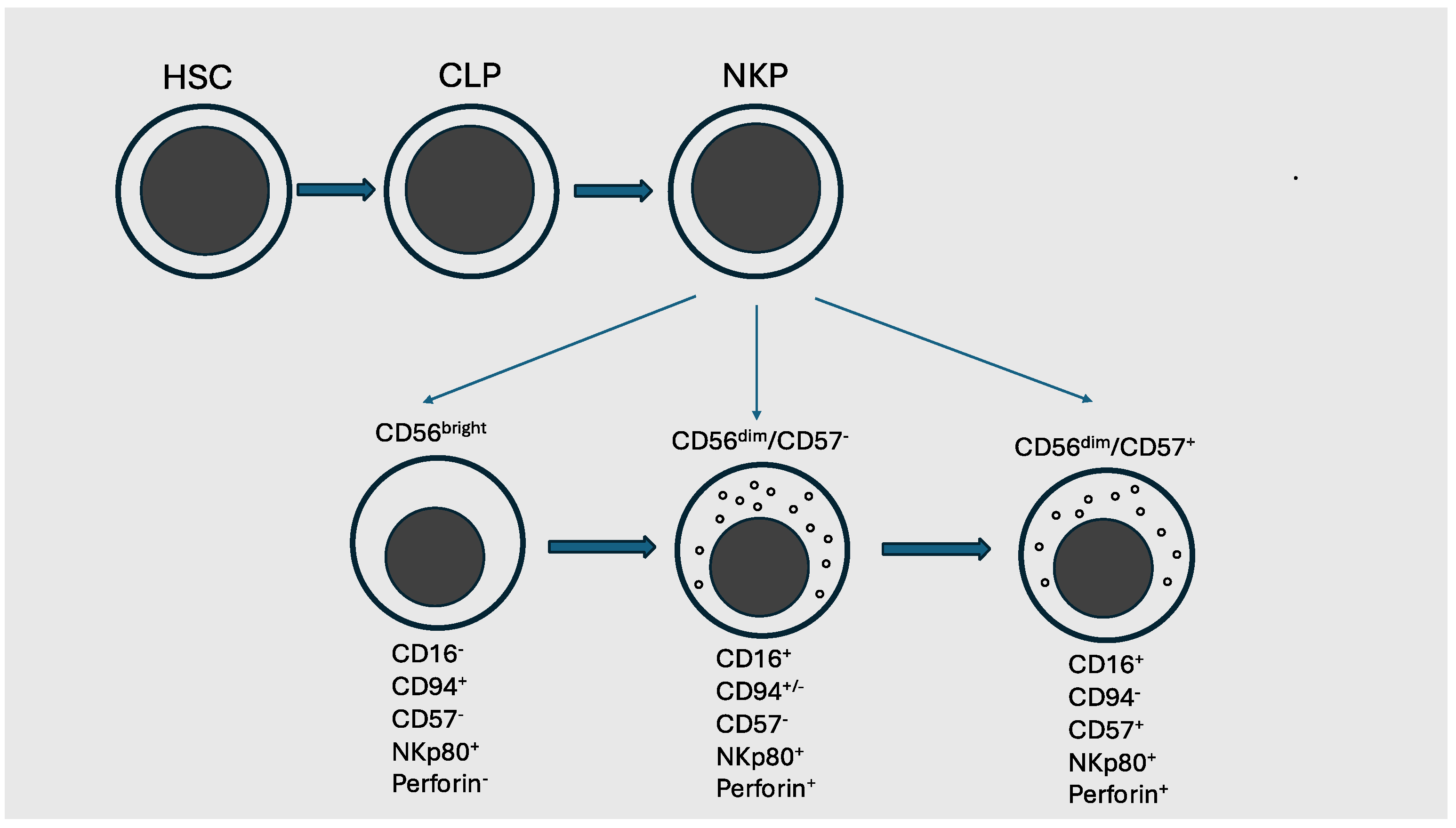 Cancers 17 01454 g001
