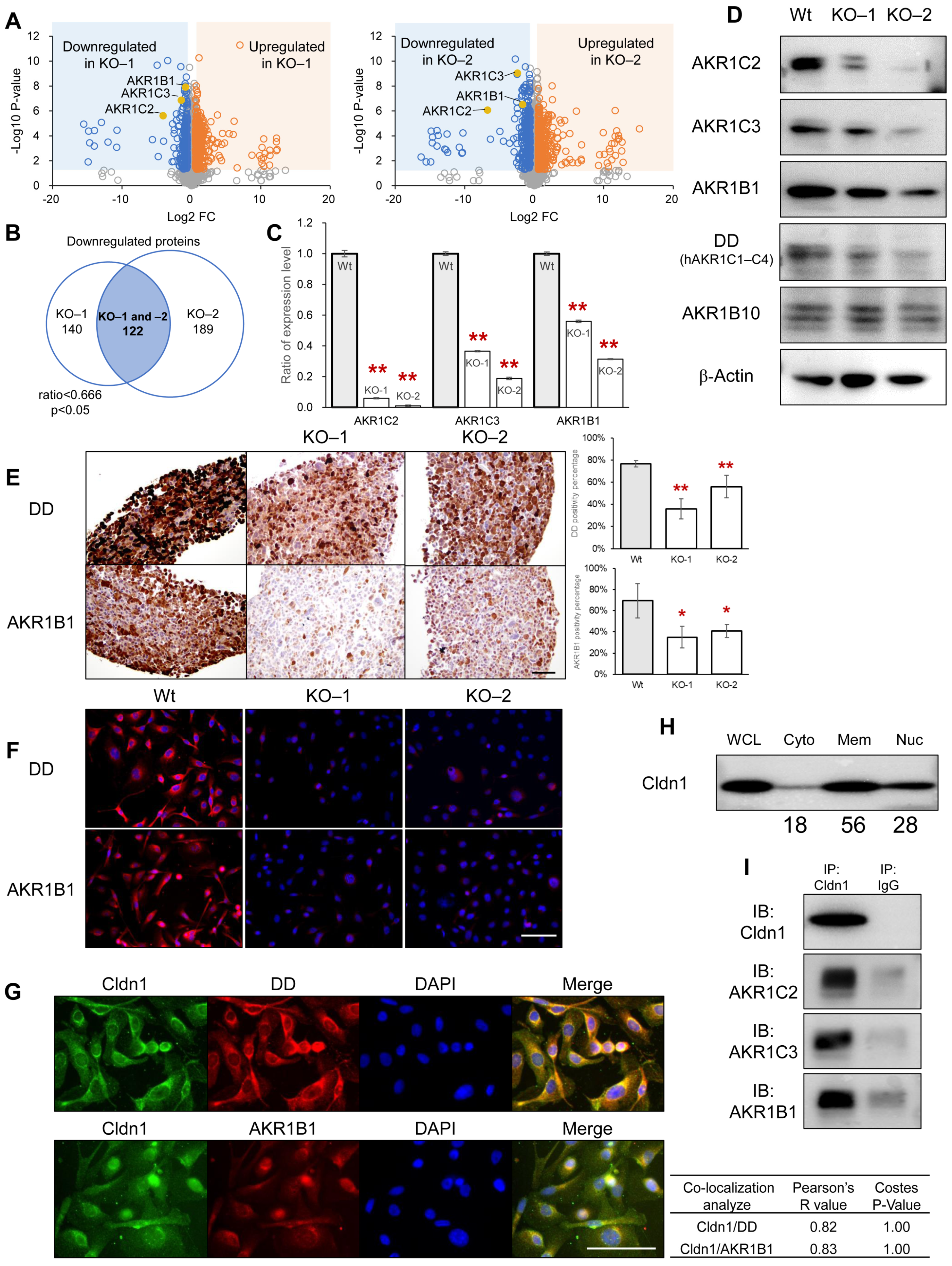 Cancers 17 01469 g003