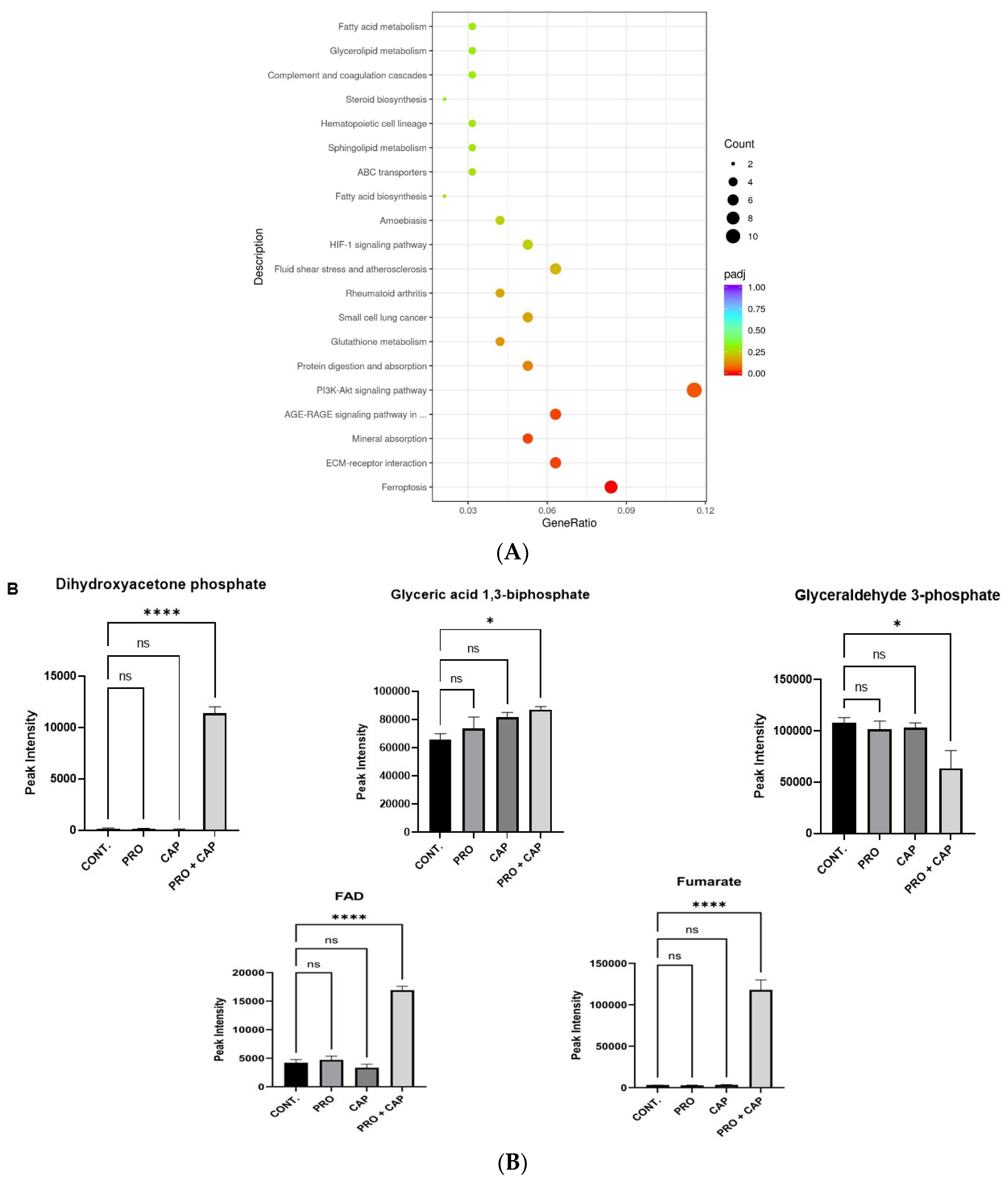 Cancers 17 01470 g004a