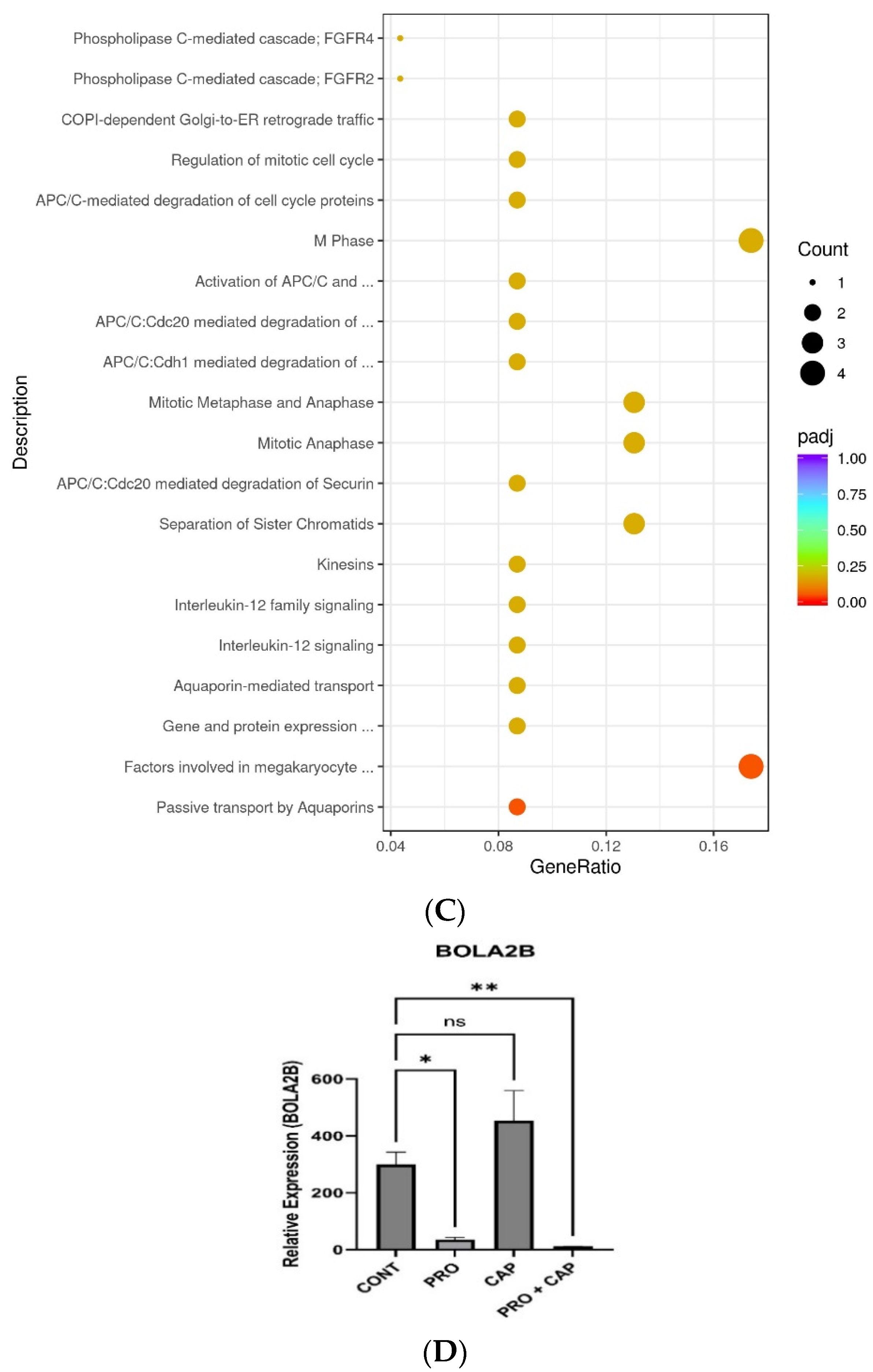 Cancers 17 01470 g005c
