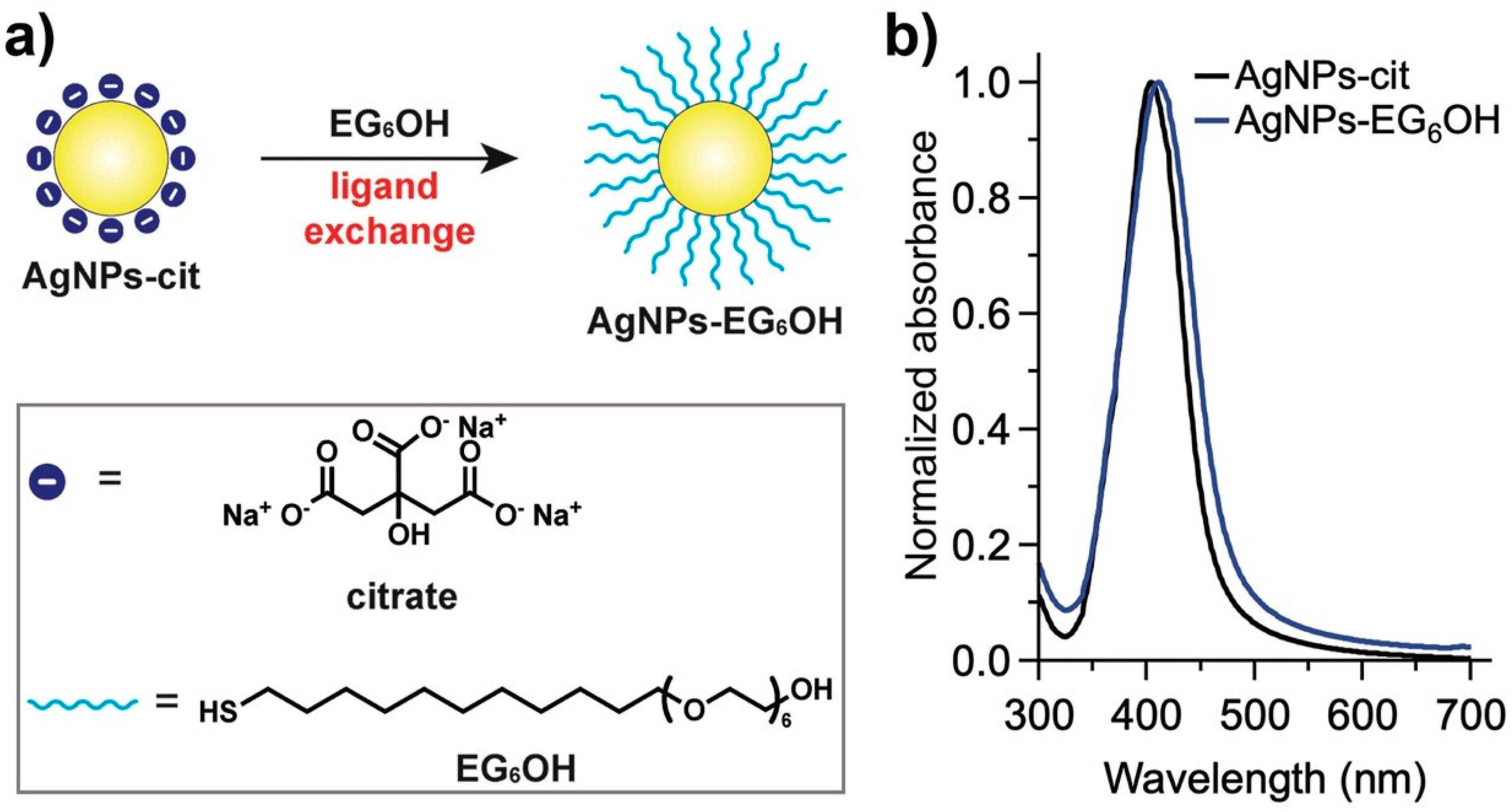 Cancers 17 01475 g001