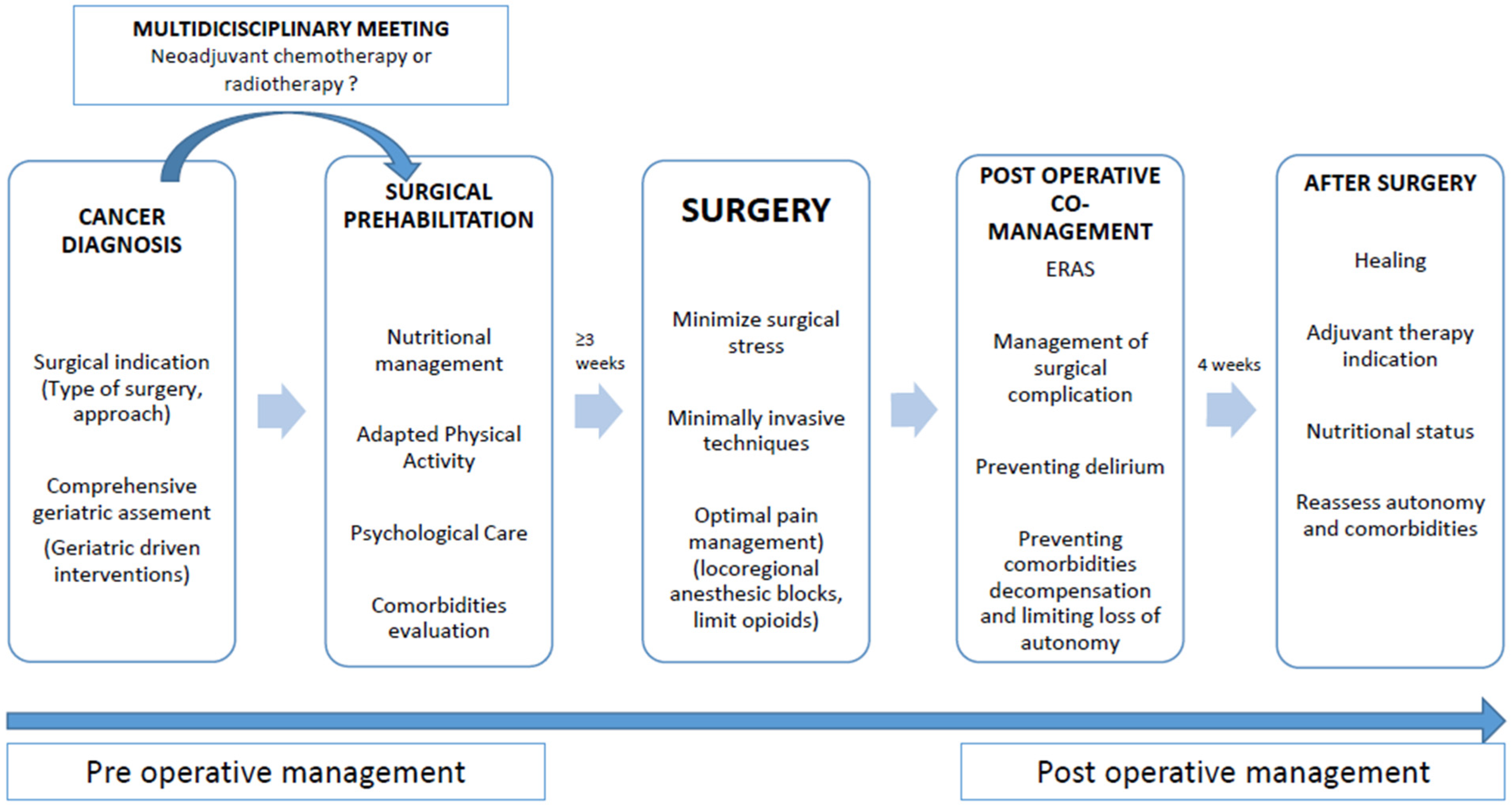 Cancers 17 01589 g001