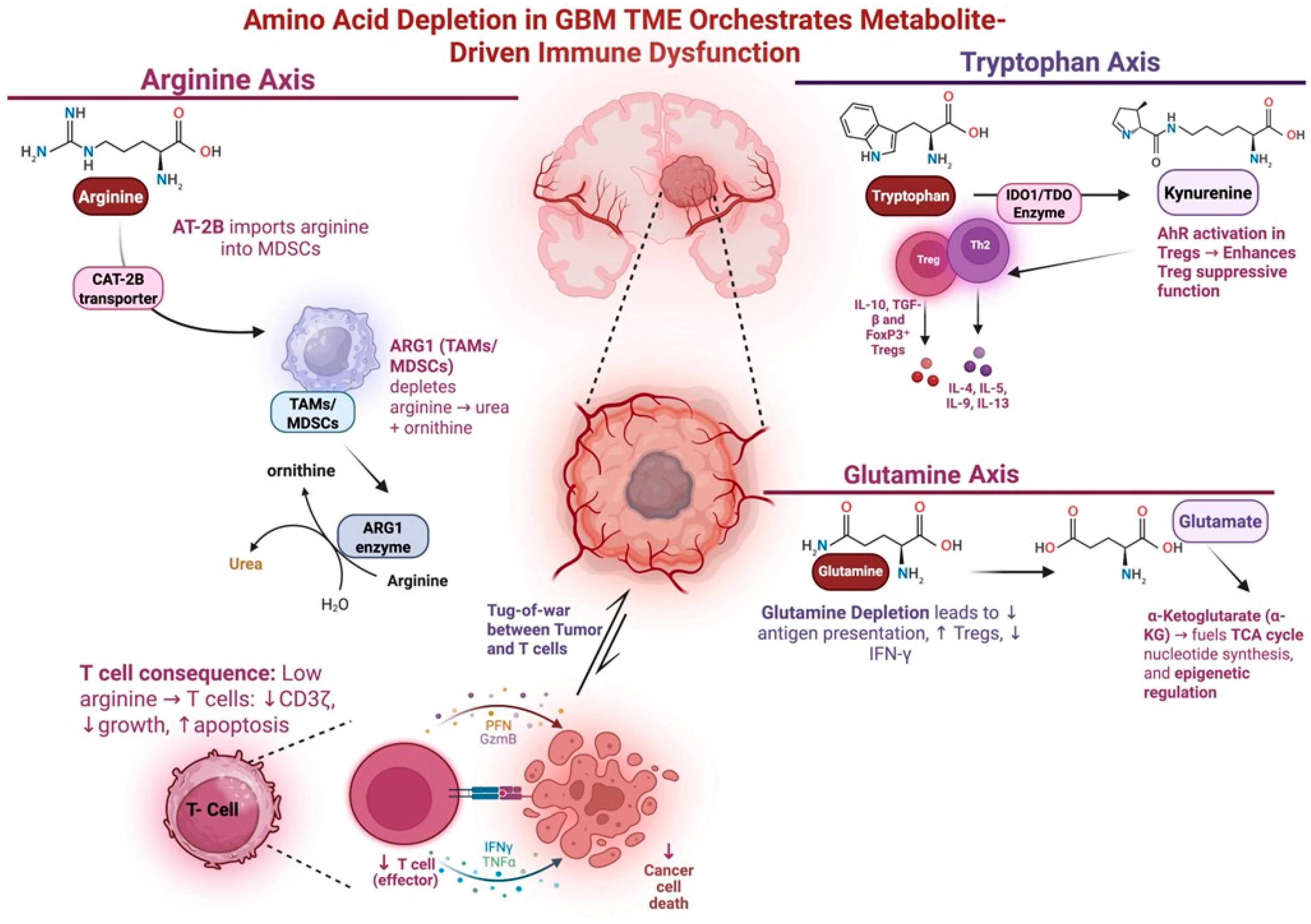 Cancers 17 01881 g001