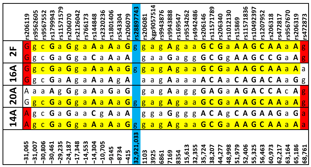 Cancers 17 01906 g001 Cancers 17 01906 g001