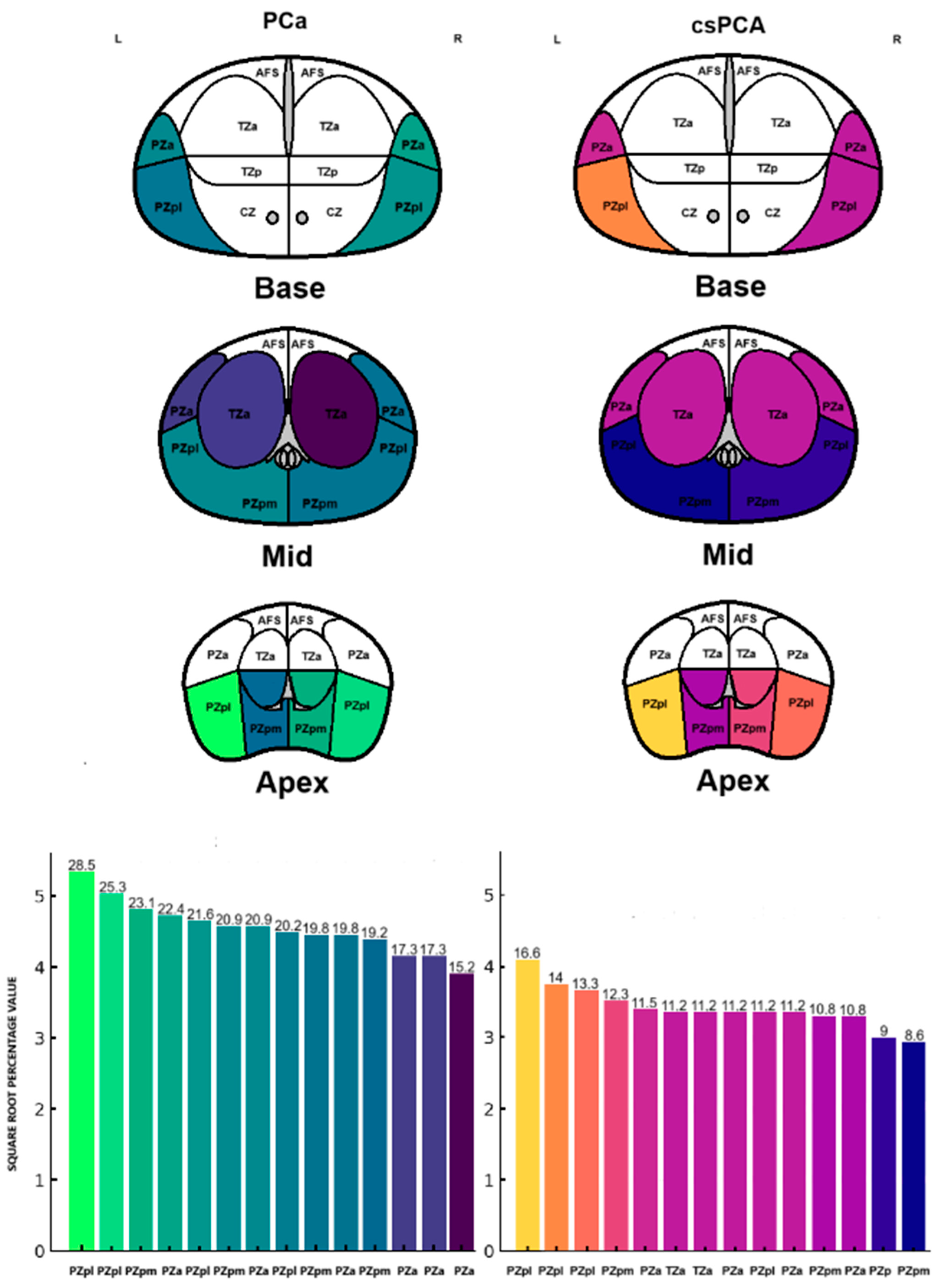 Cancers 17 02206 g001