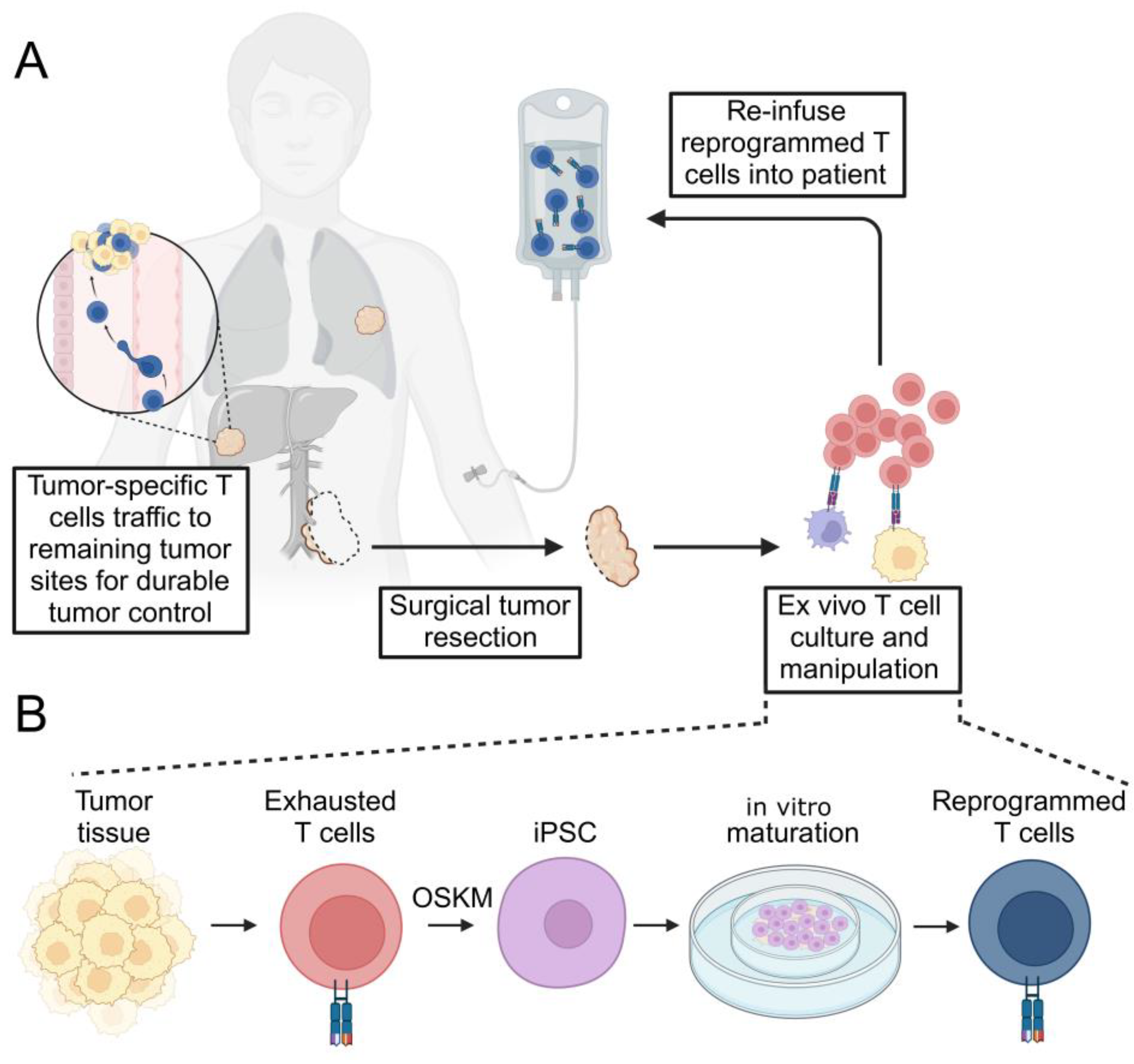 Cancers 17 02225 g001