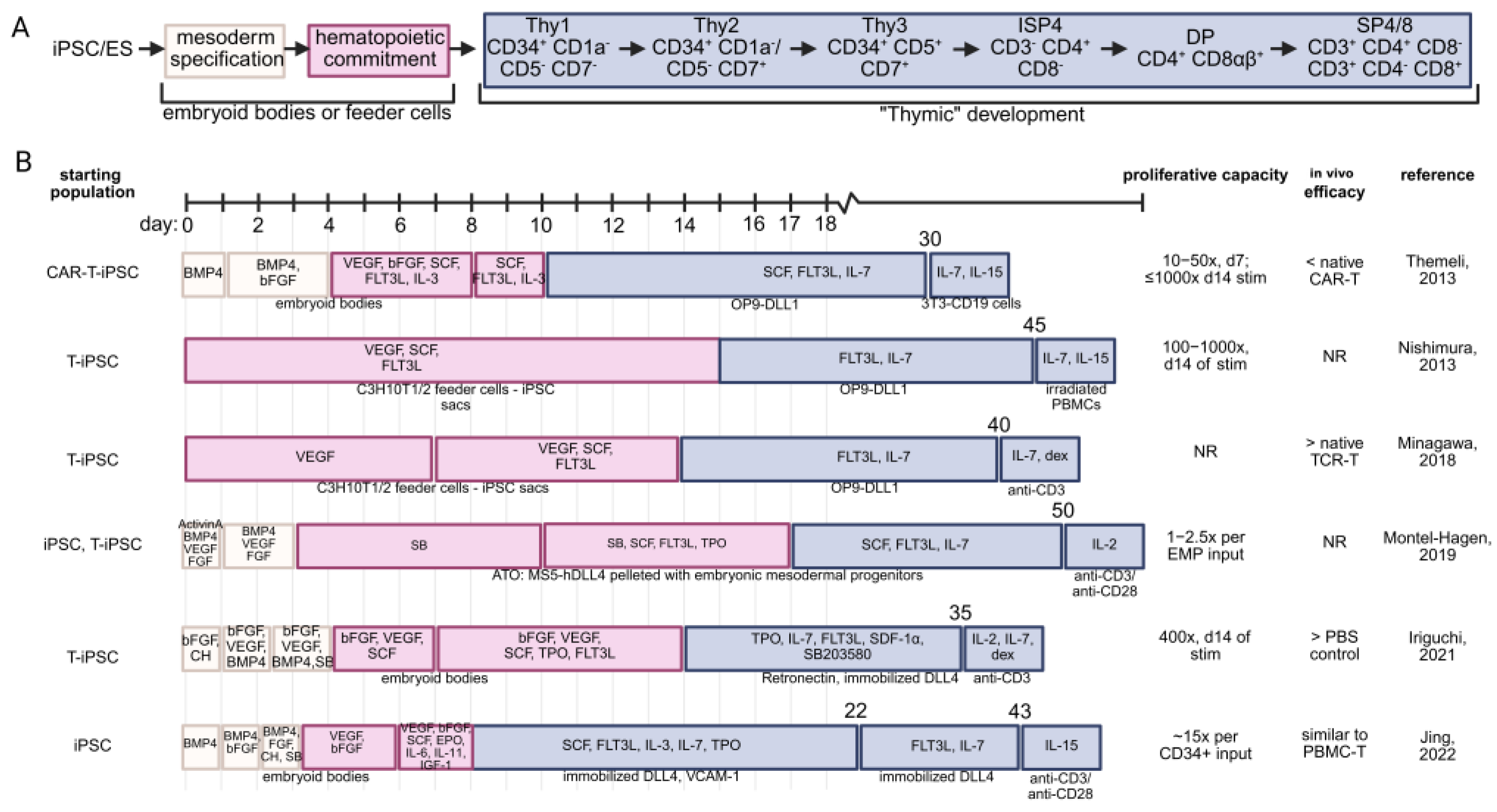 Cancers 17 02225 g003