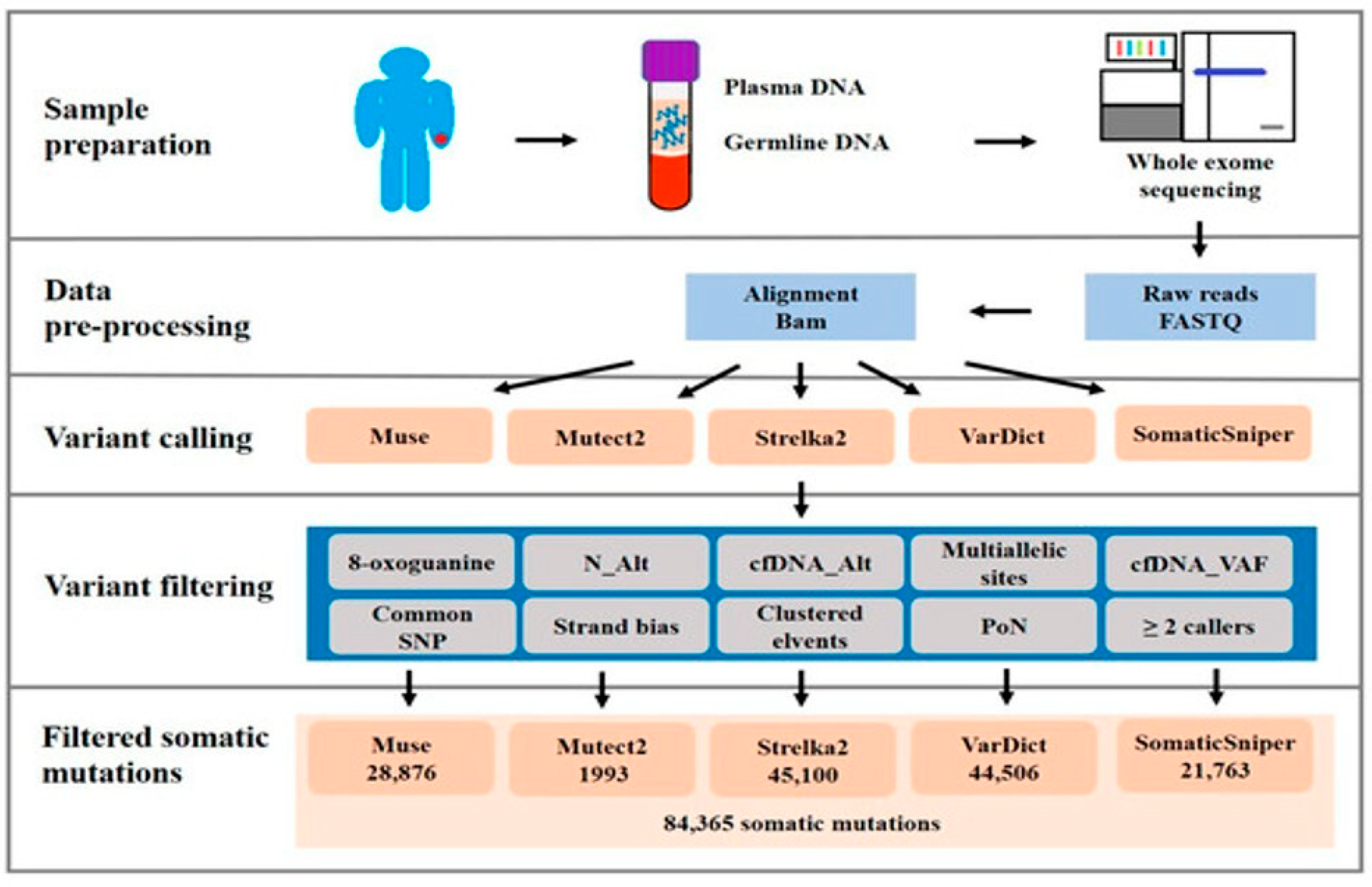 Cancers 17 02366 g002 Cancers 17 02366 g002